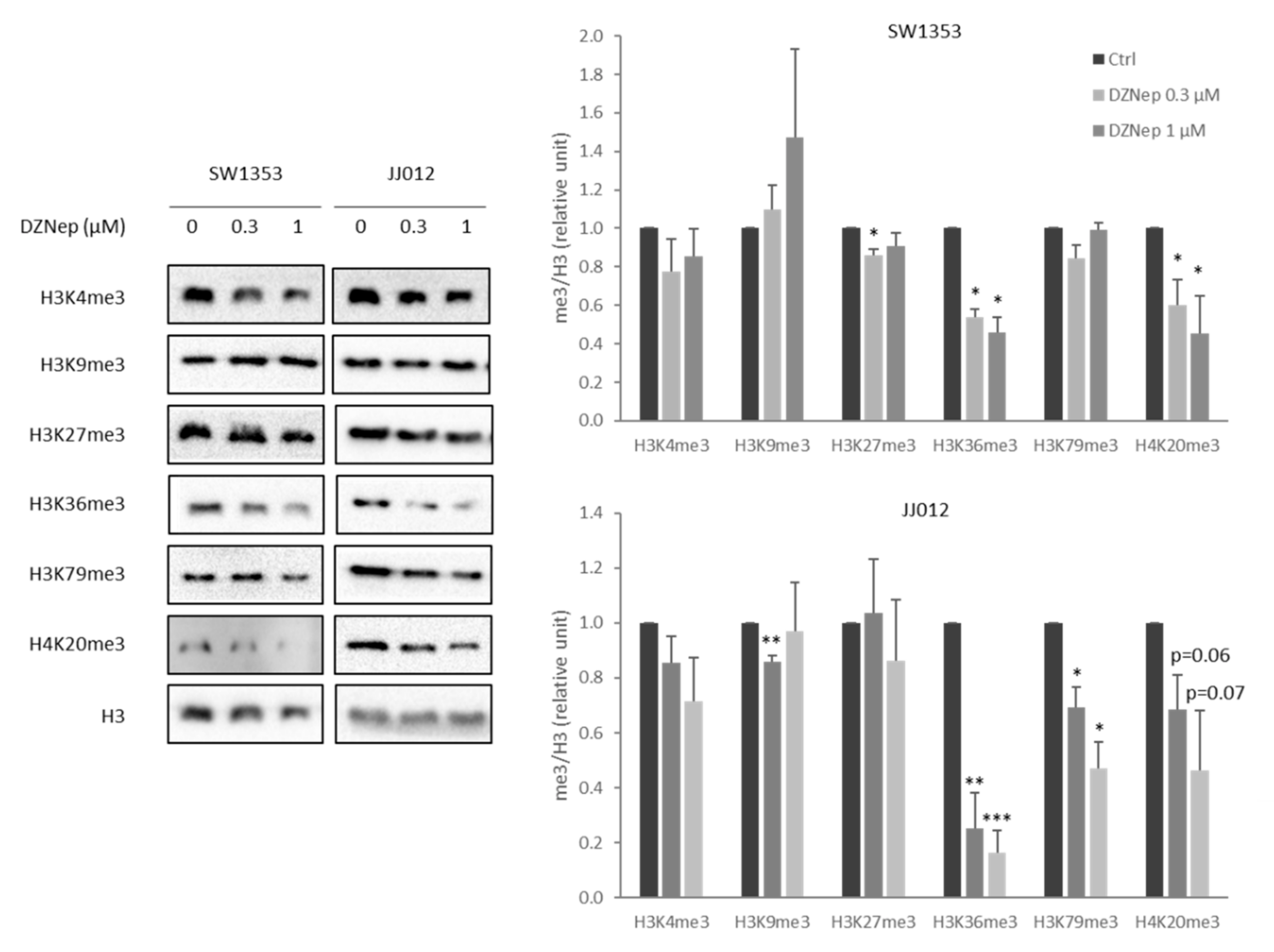 Cancers 13 04648 g001