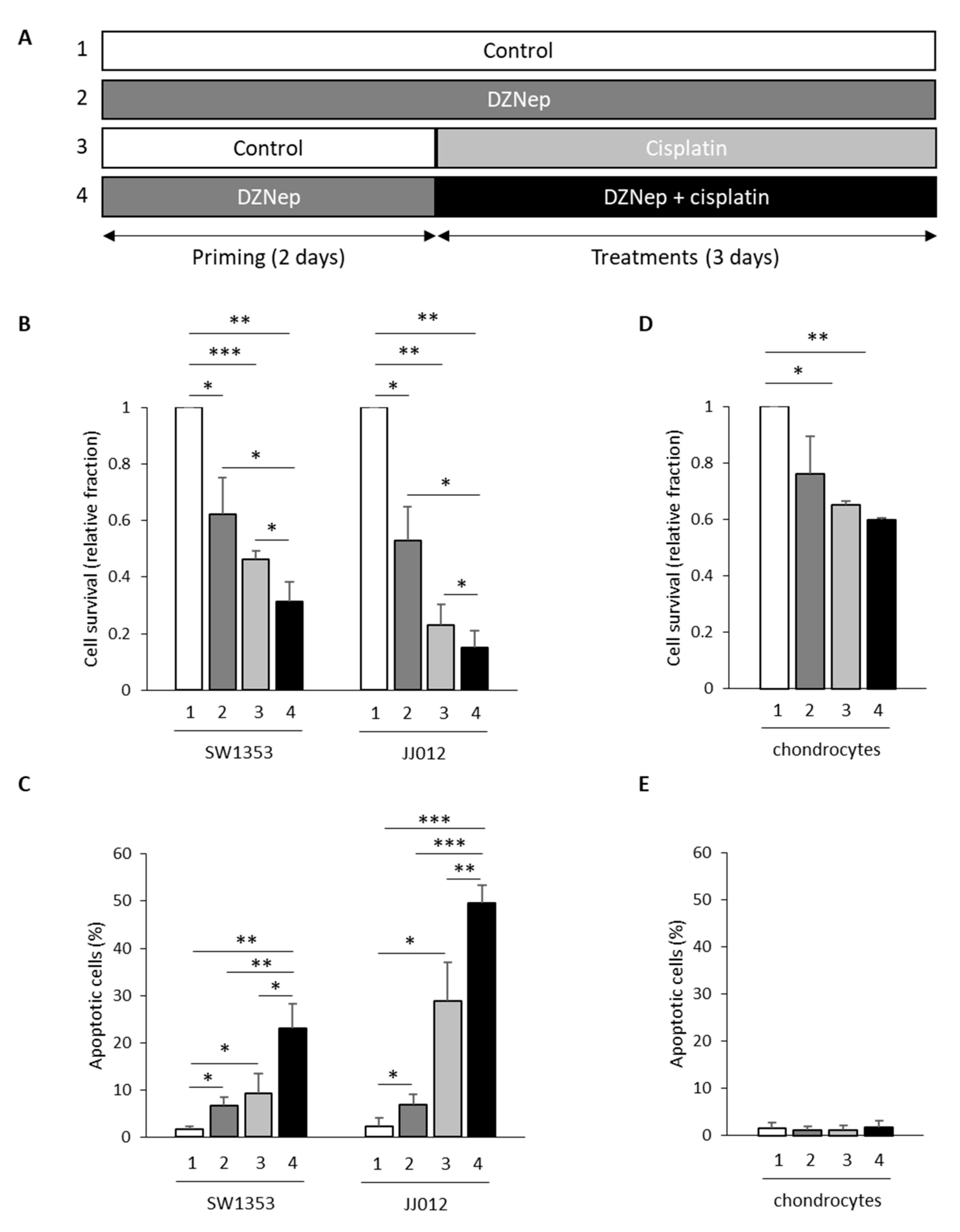 Cancers 13 04648 g003