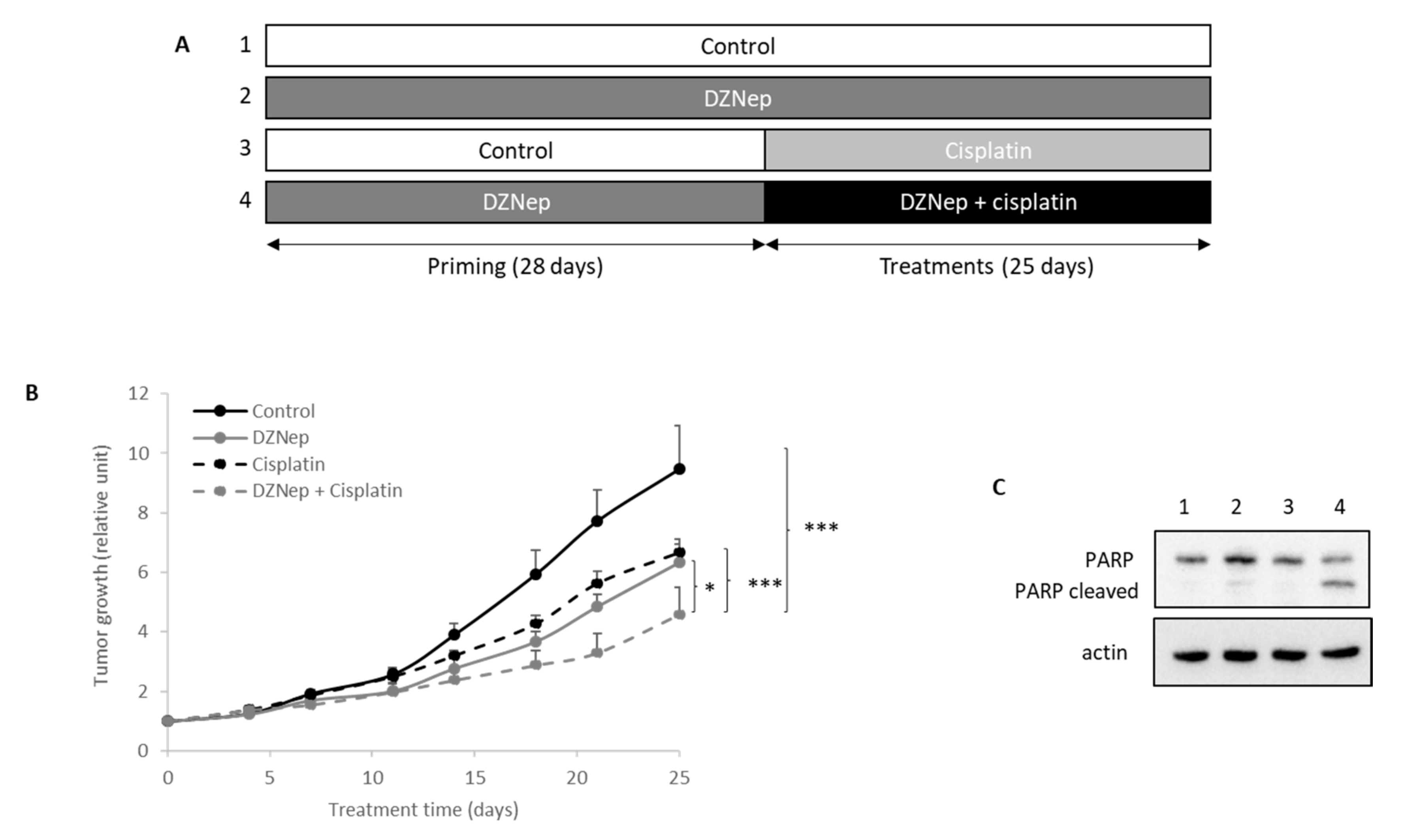 Cancers 13 04648 g004