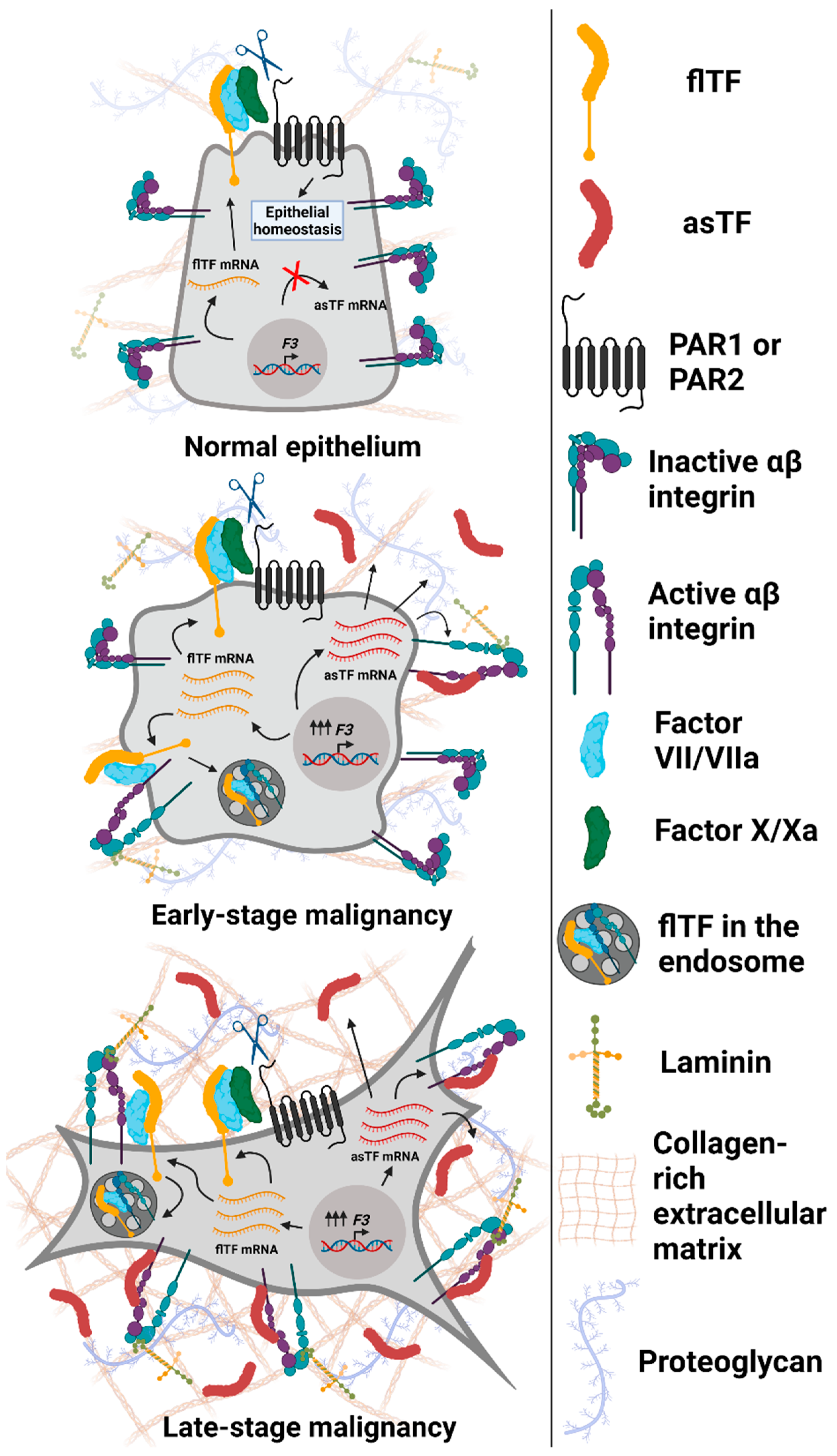 Cancers 13 04652 g002 Cancers 13 04652 g002