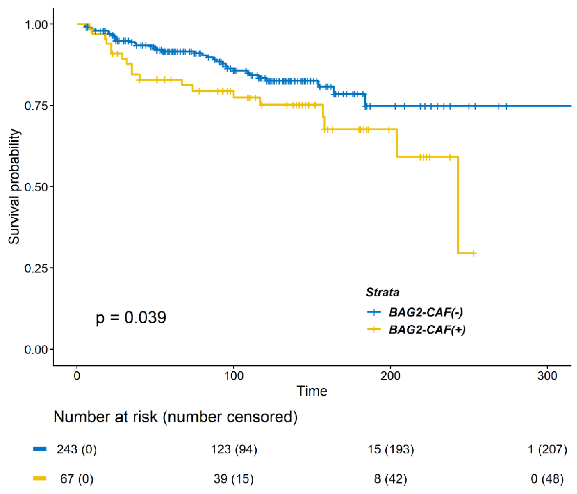Cancers 13 04654 g002
