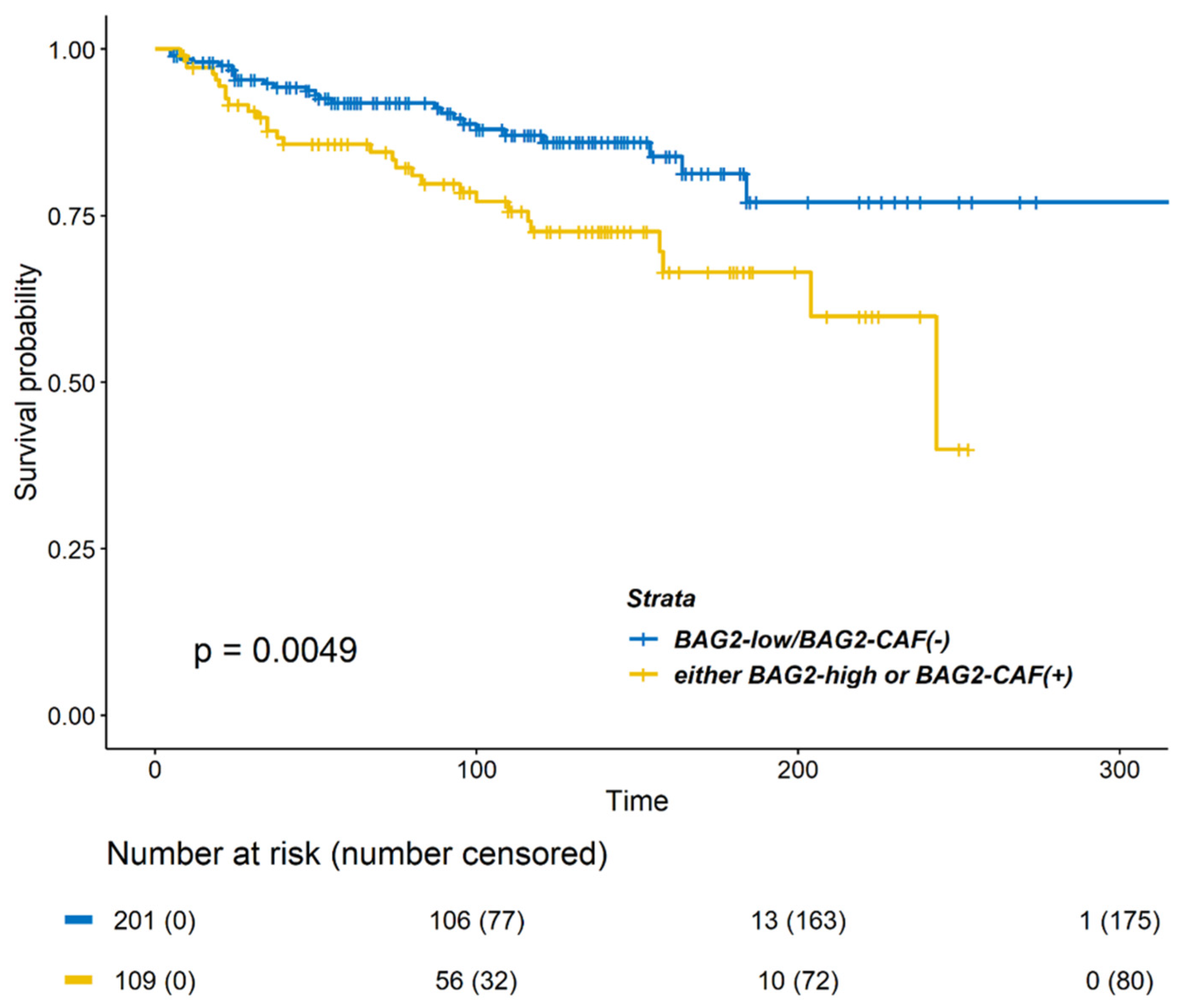 Cancers 13 04654 g003