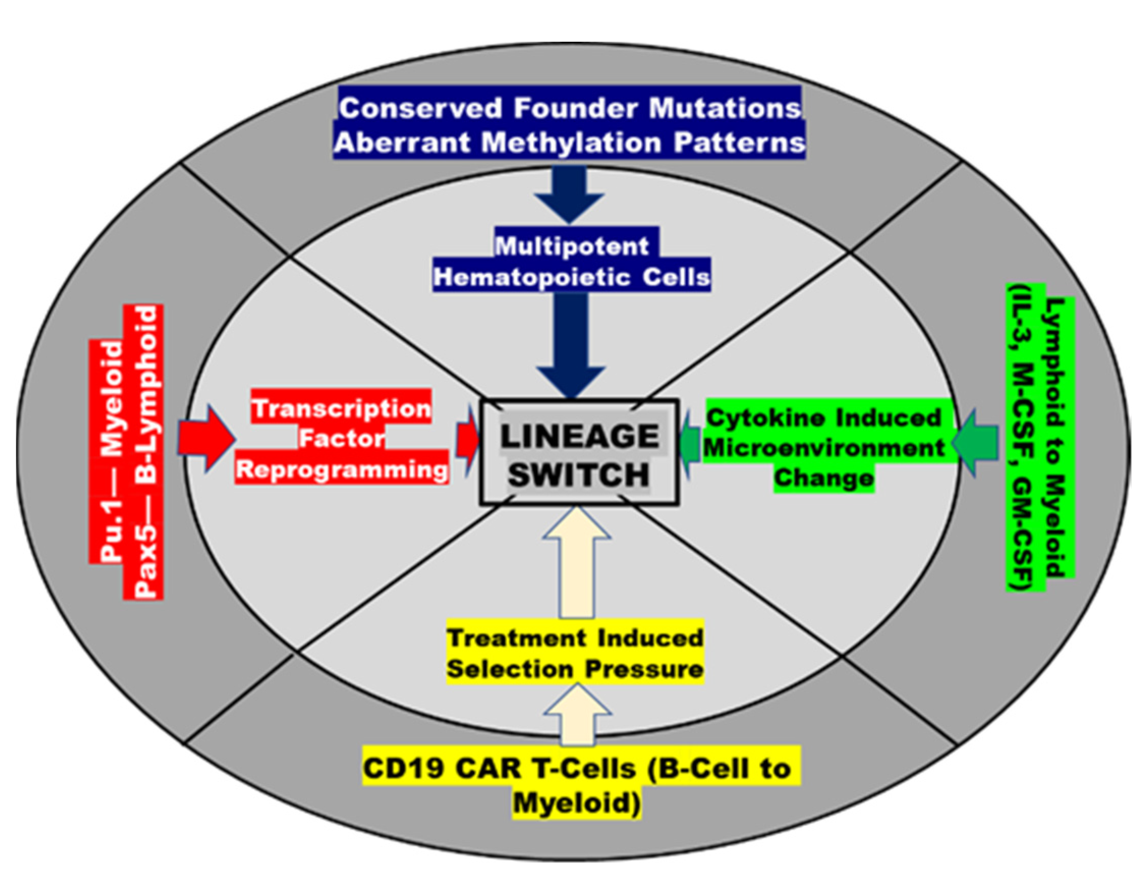 Cancers 13 04658 g002