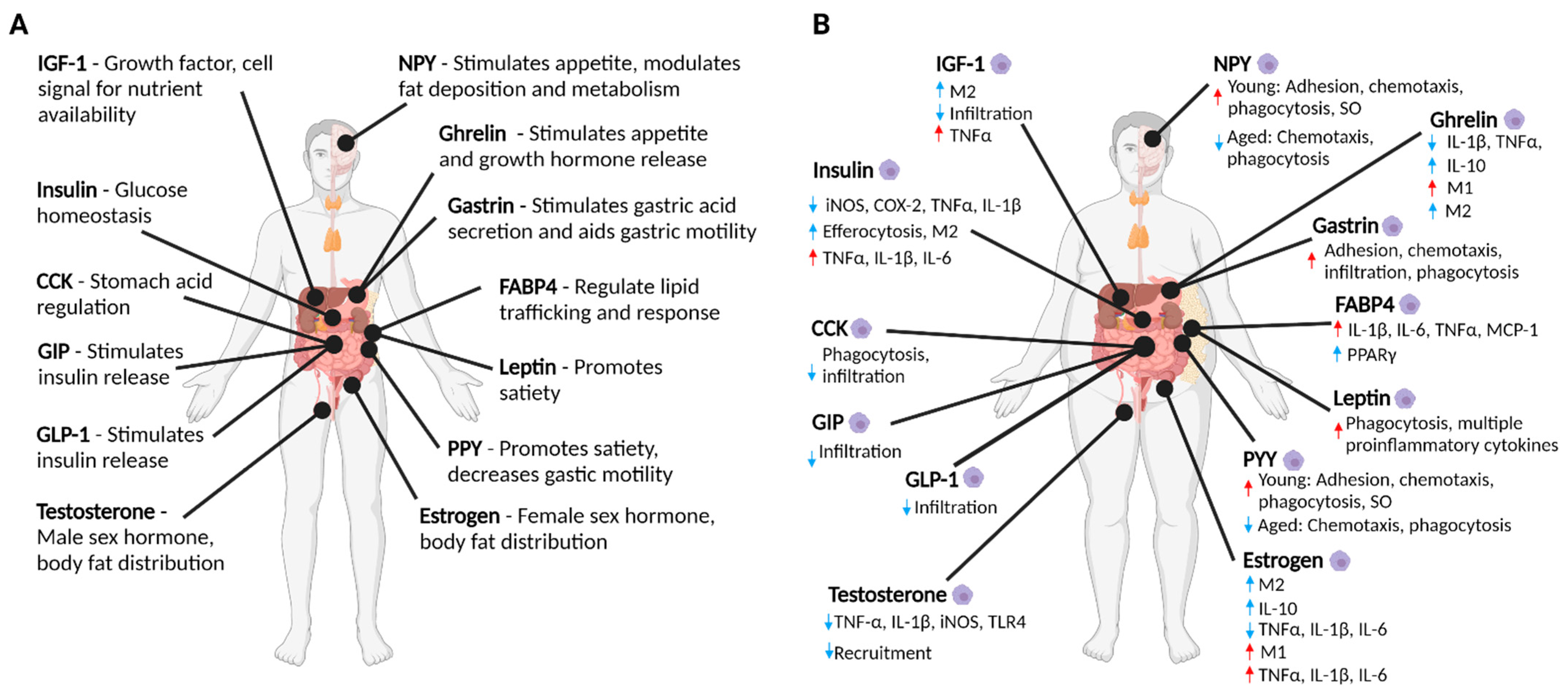 Cancers 13 04661 g001