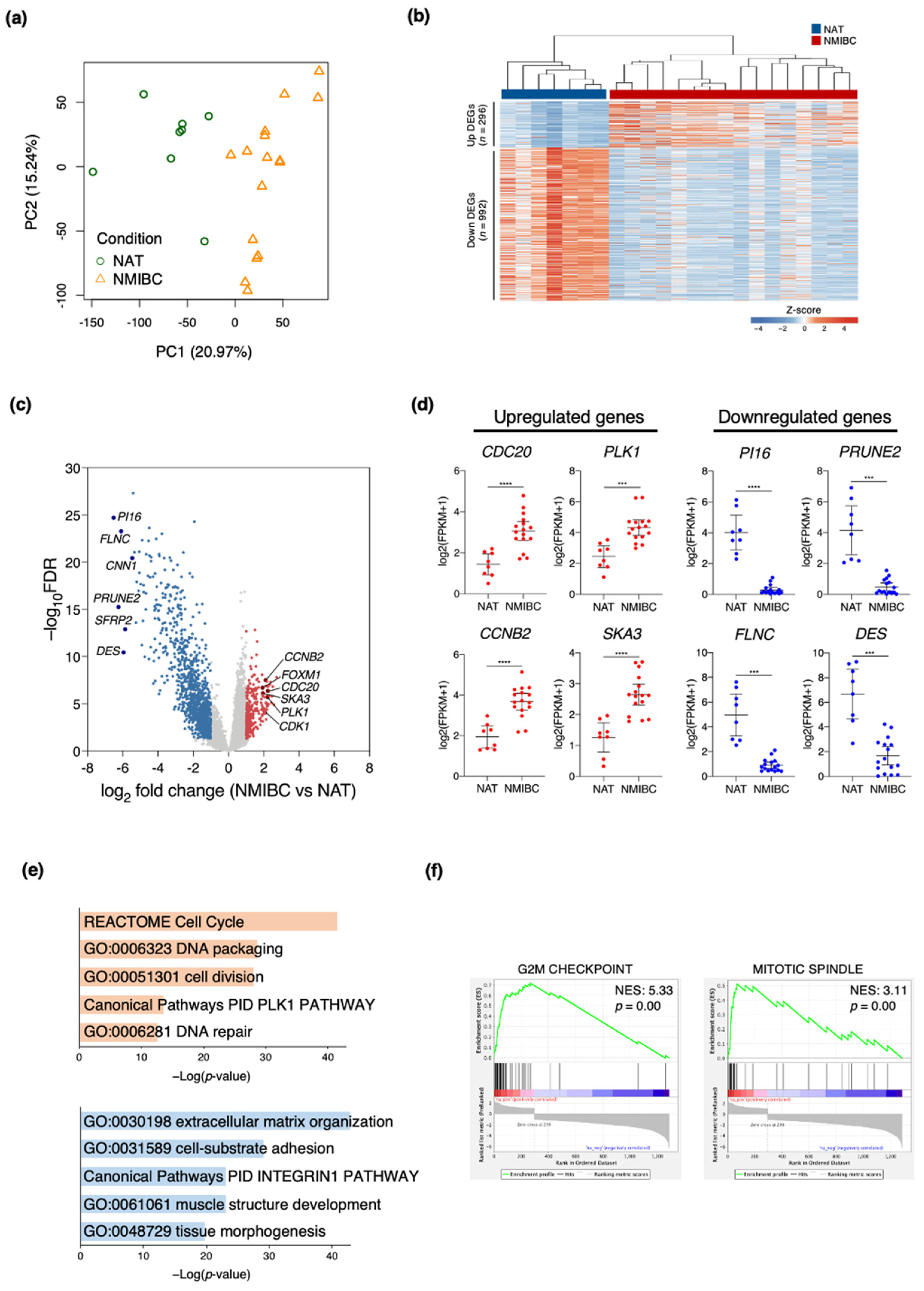 Cancers 13 04673 g001 Cancers 13 04673 g001