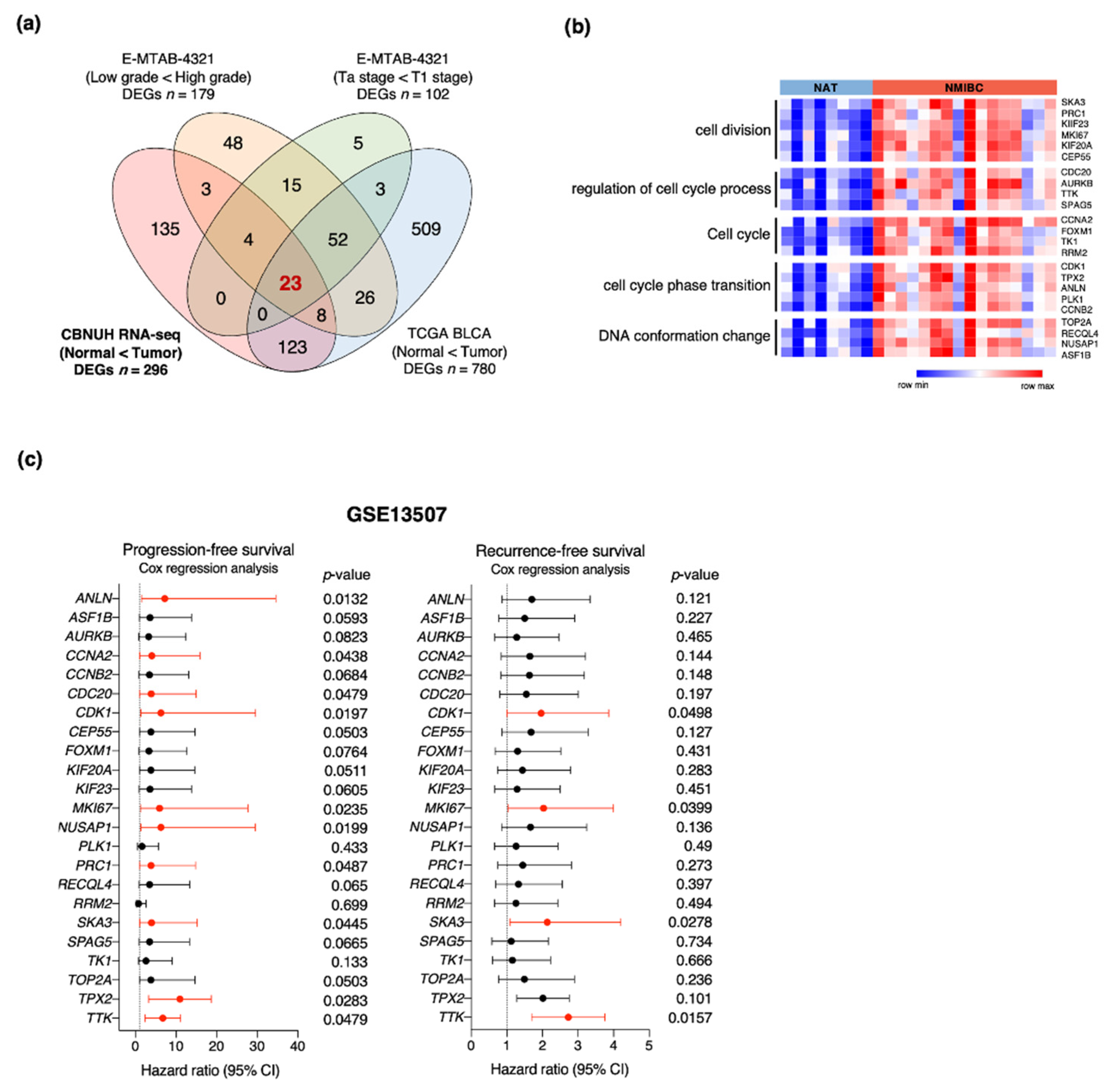 Cancers 13 04673 g002 Cancers 13 04673 g002