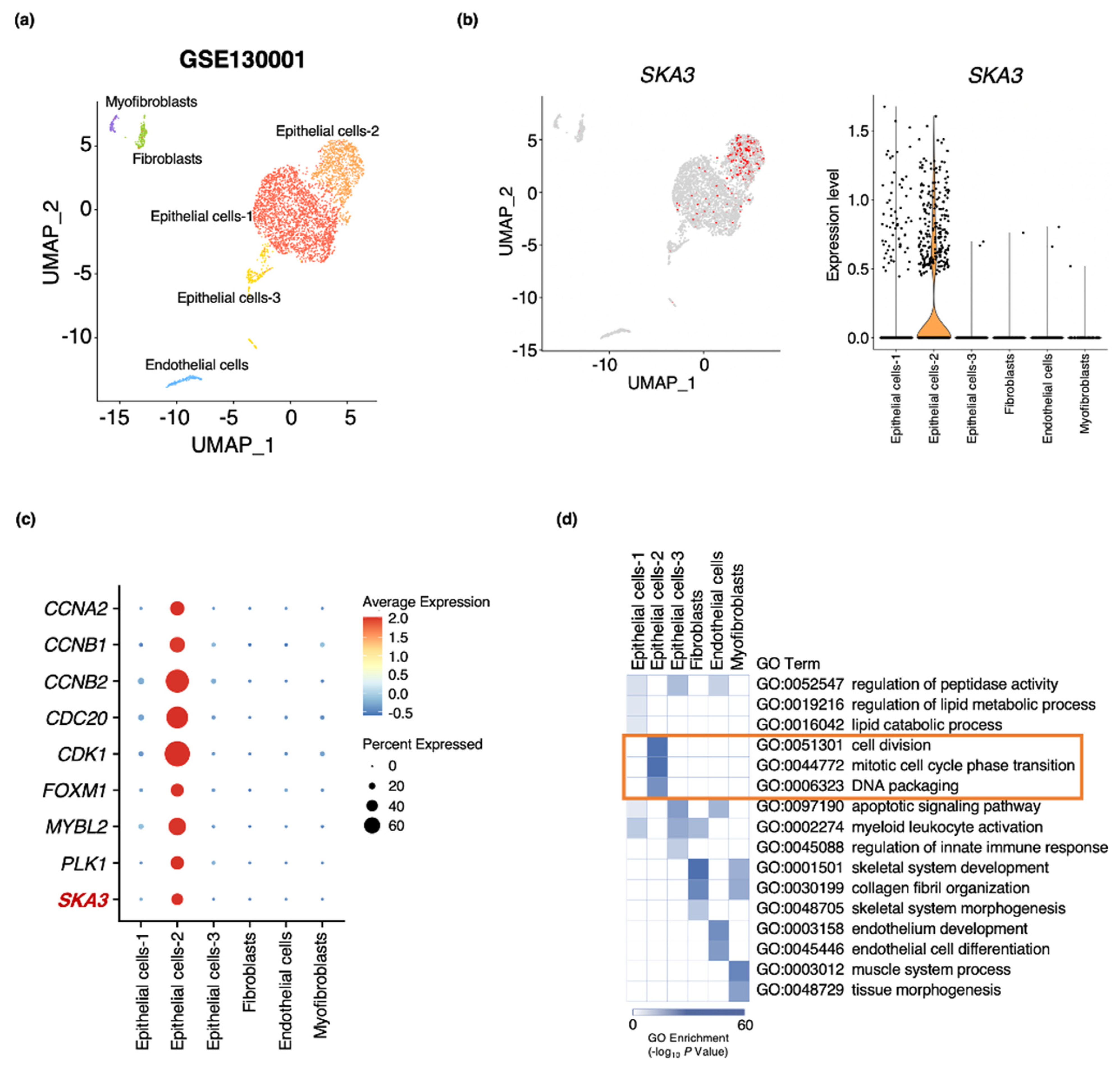 Cancers 13 04673 g006 Cancers 13 04673 g006