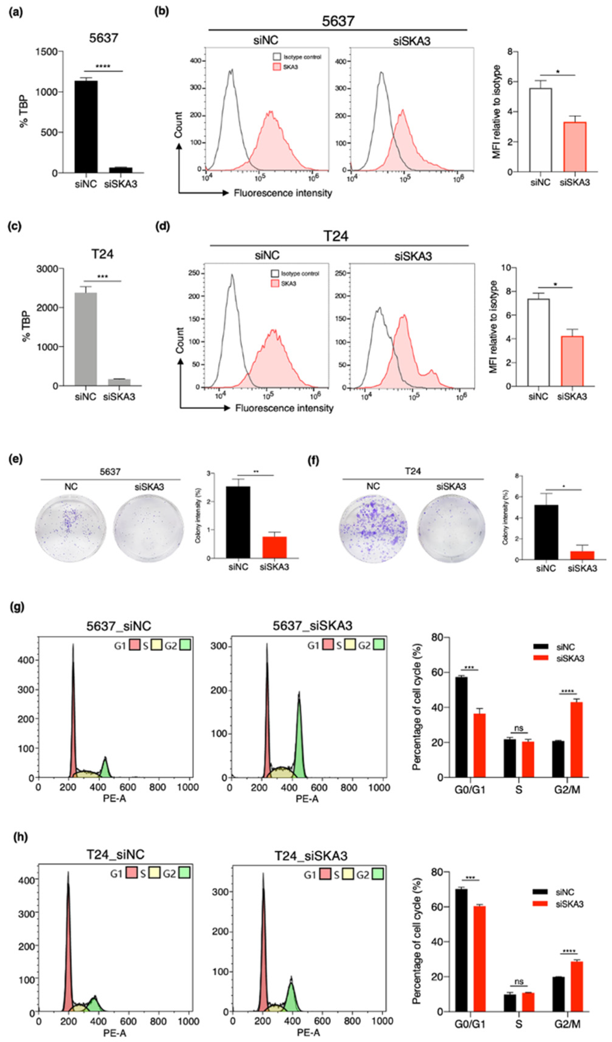 Cancers 13 04673 g007 Cancers 13 04673 g007