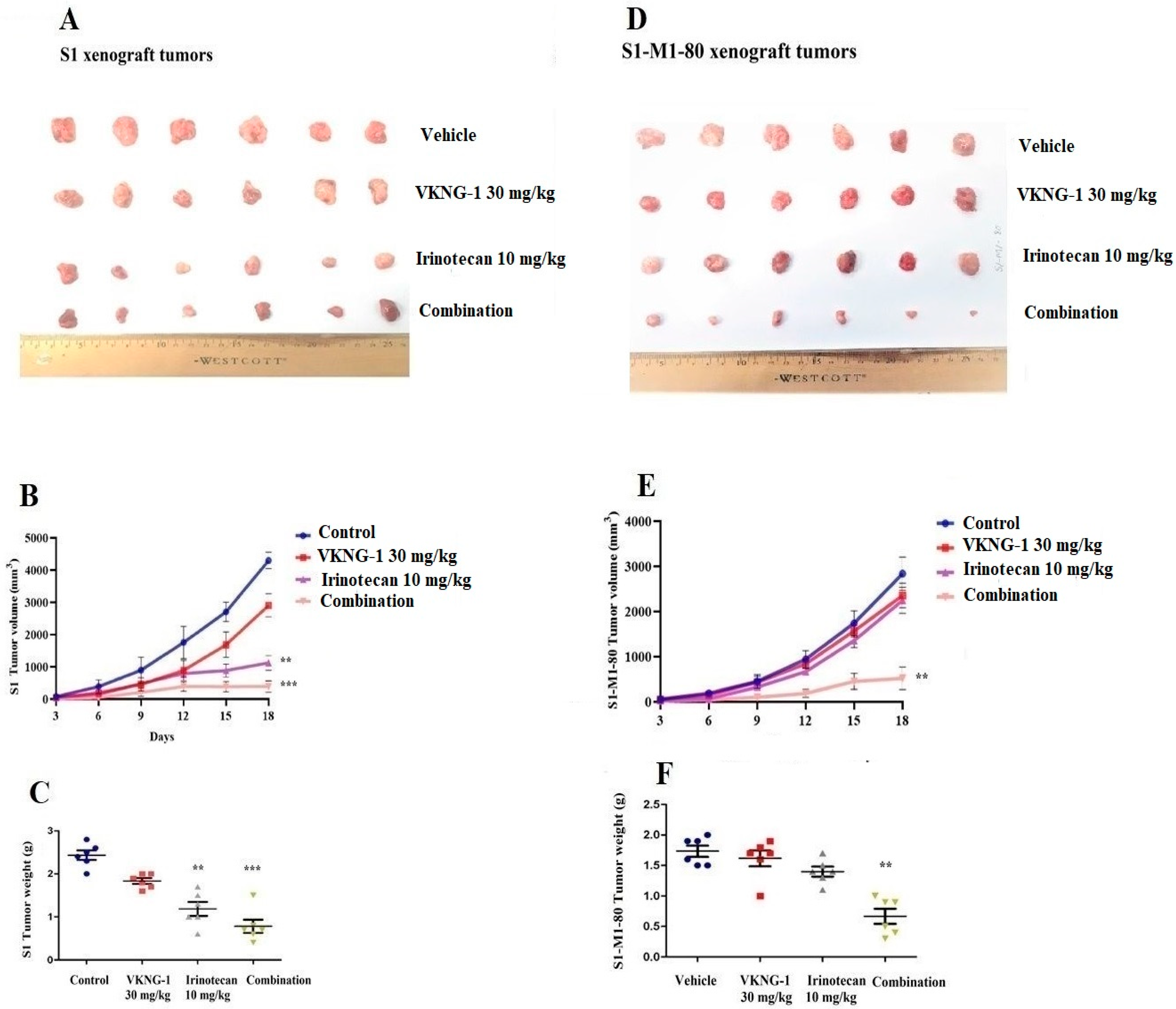 Cancers 13 04675 g008