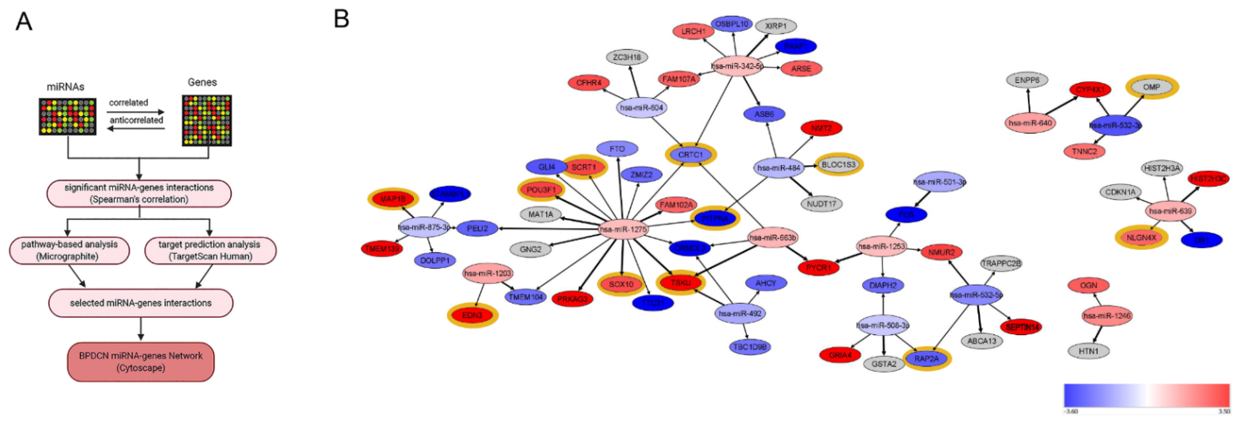 Cancers 13 04680 g002