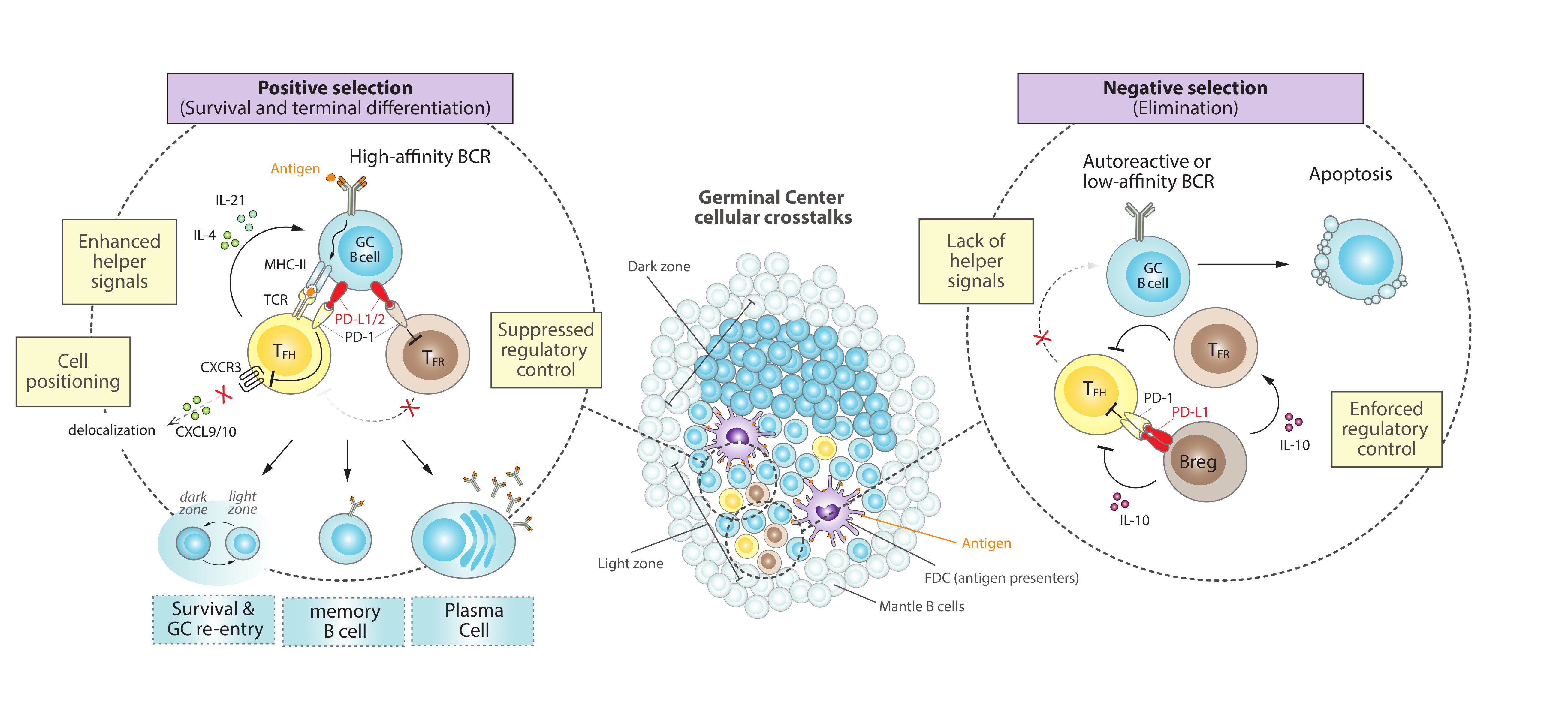 Cancers 13 04683 g001