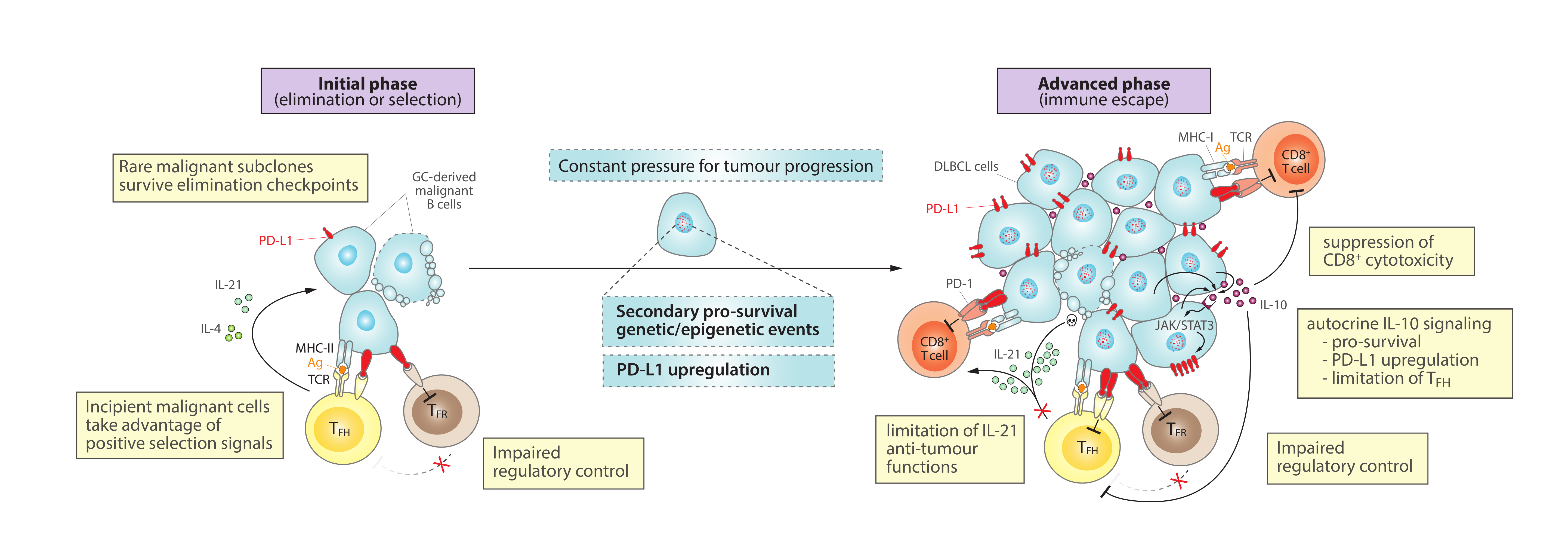 Cancers 13 04683 g002