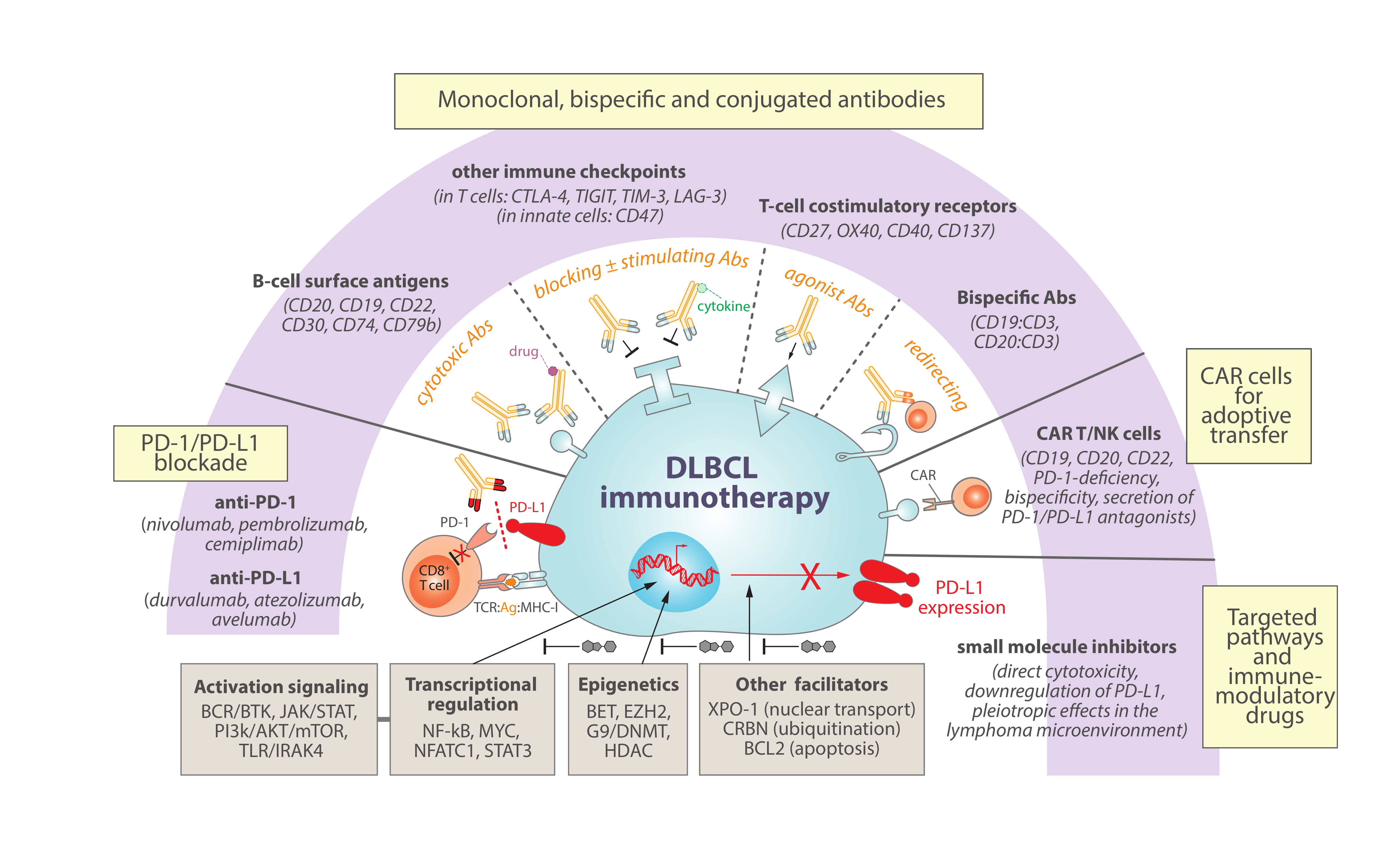 Cancers 13 04683 g003