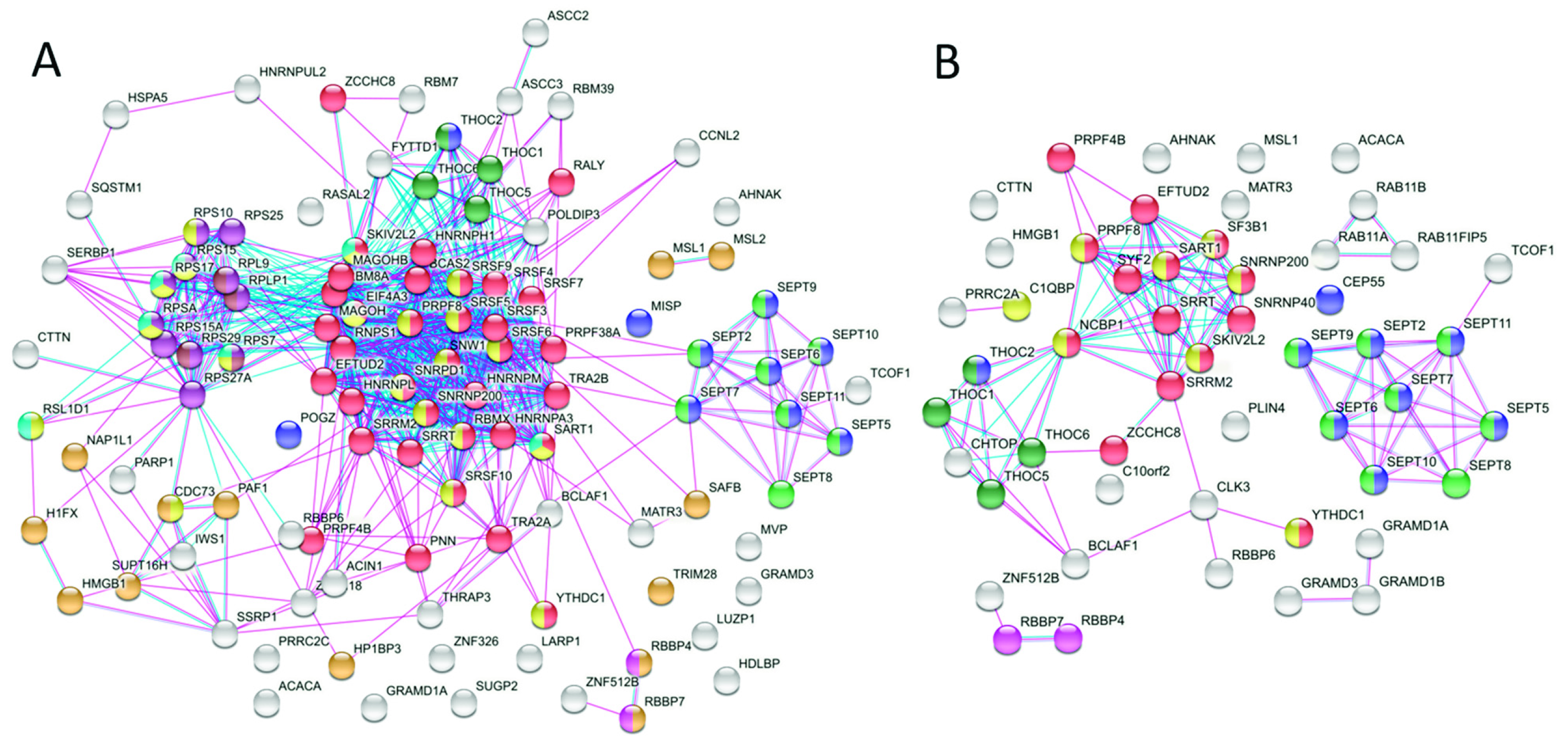 Cancers 13 04686 g002