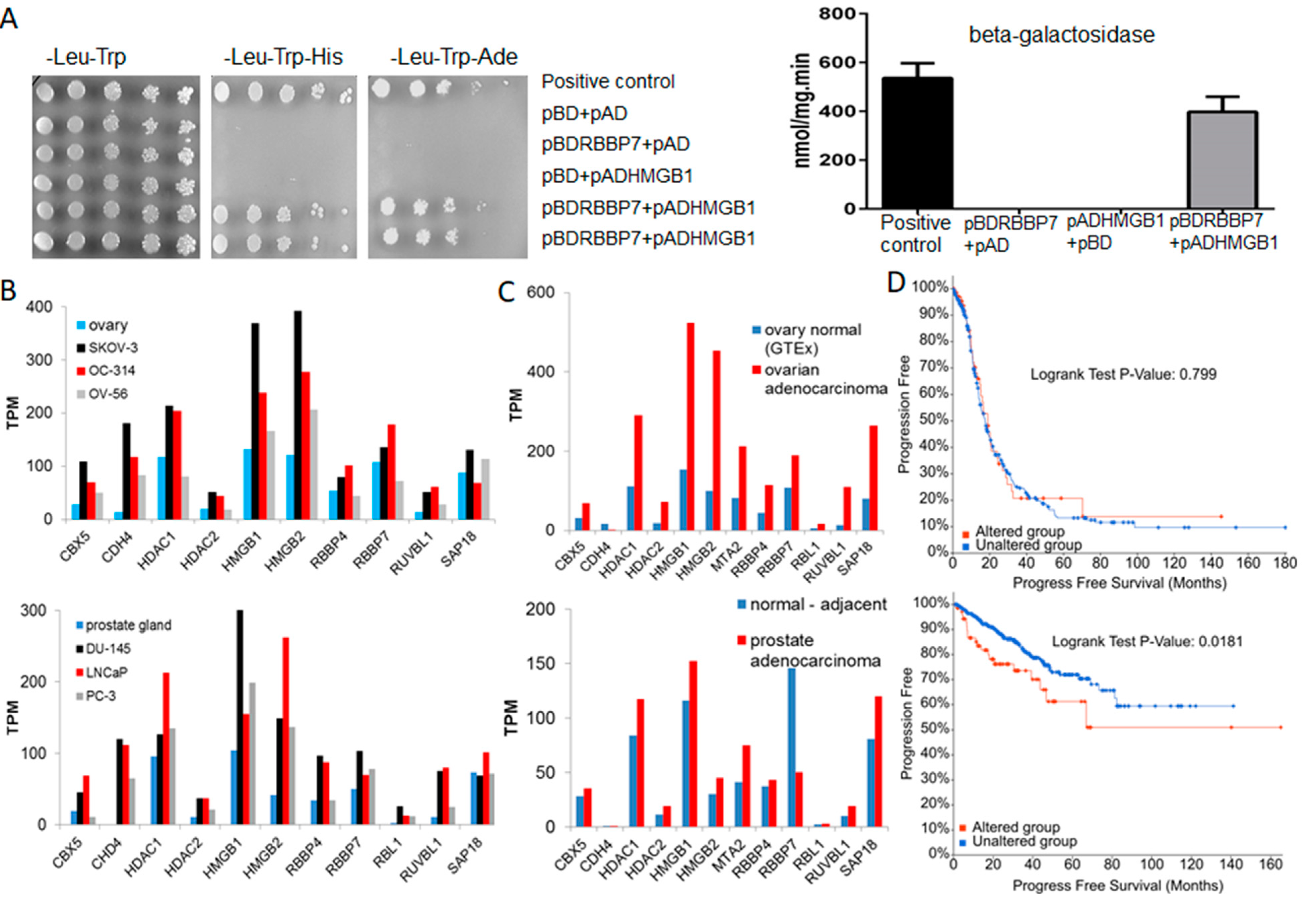 Cancers 13 04686 g003