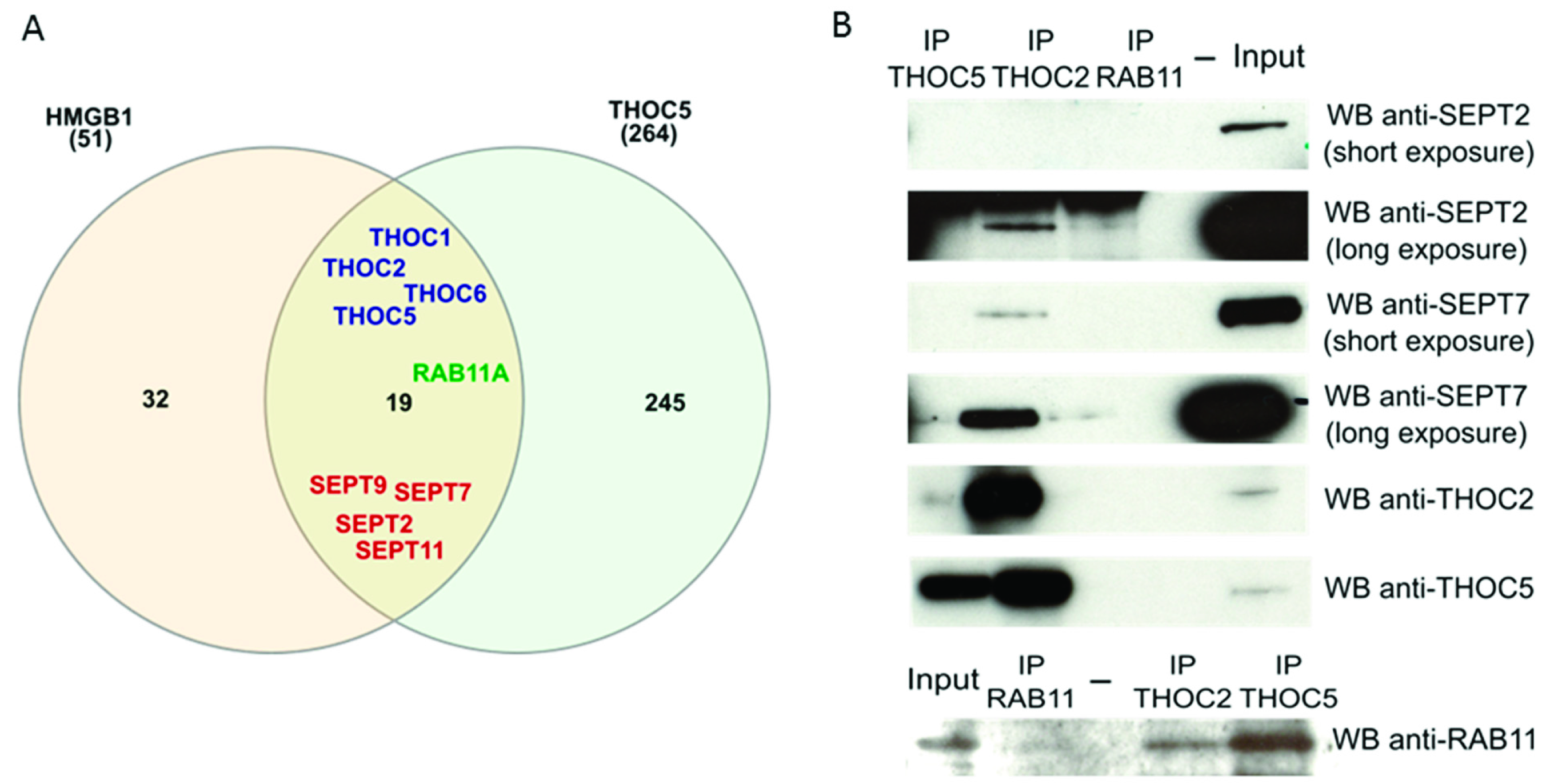 Cancers 13 04686 g004
