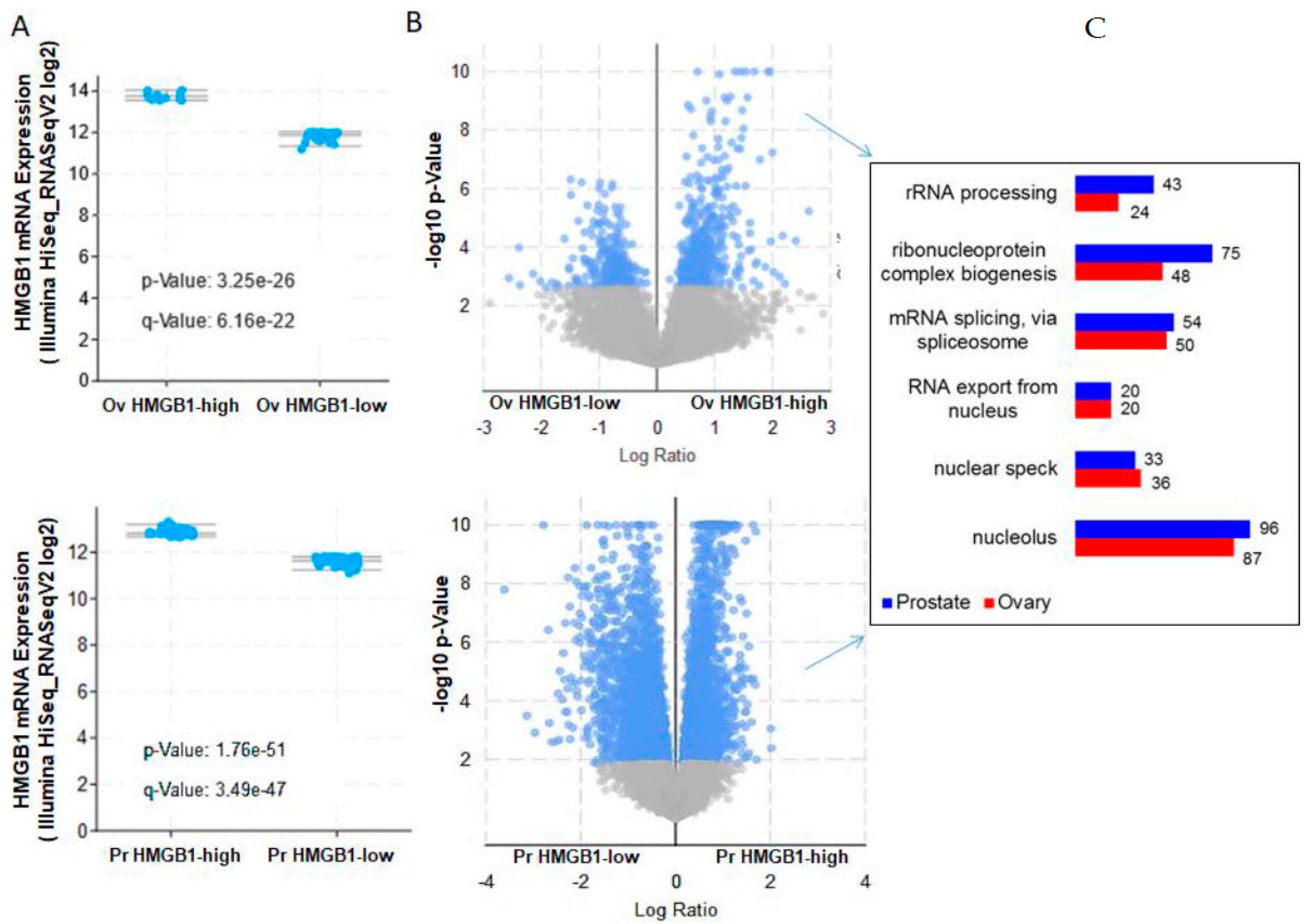 Cancers 13 04686 g005