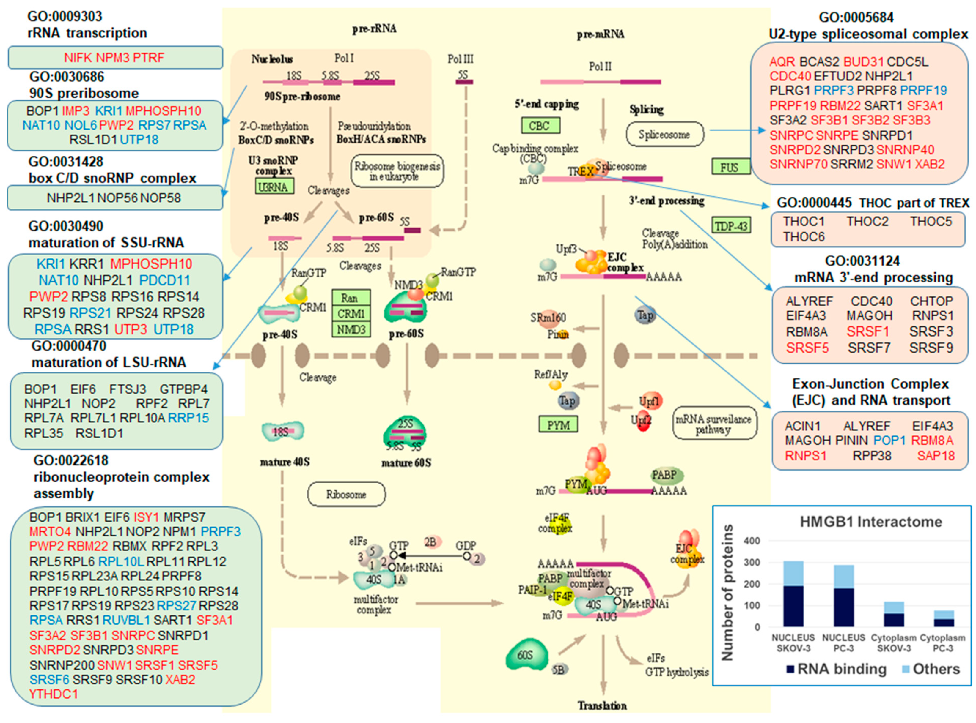 Cancers 13 04686 g006