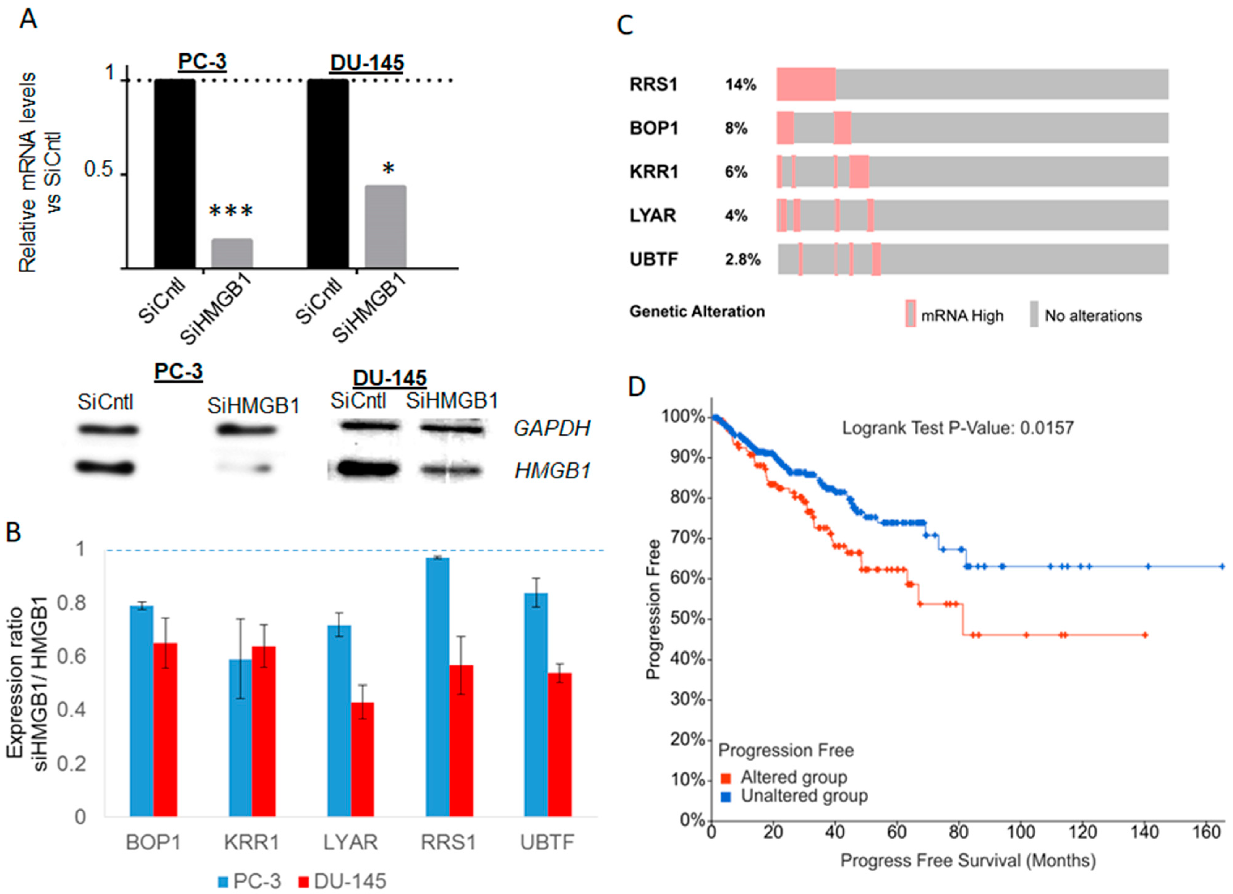Cancers 13 04686 g007