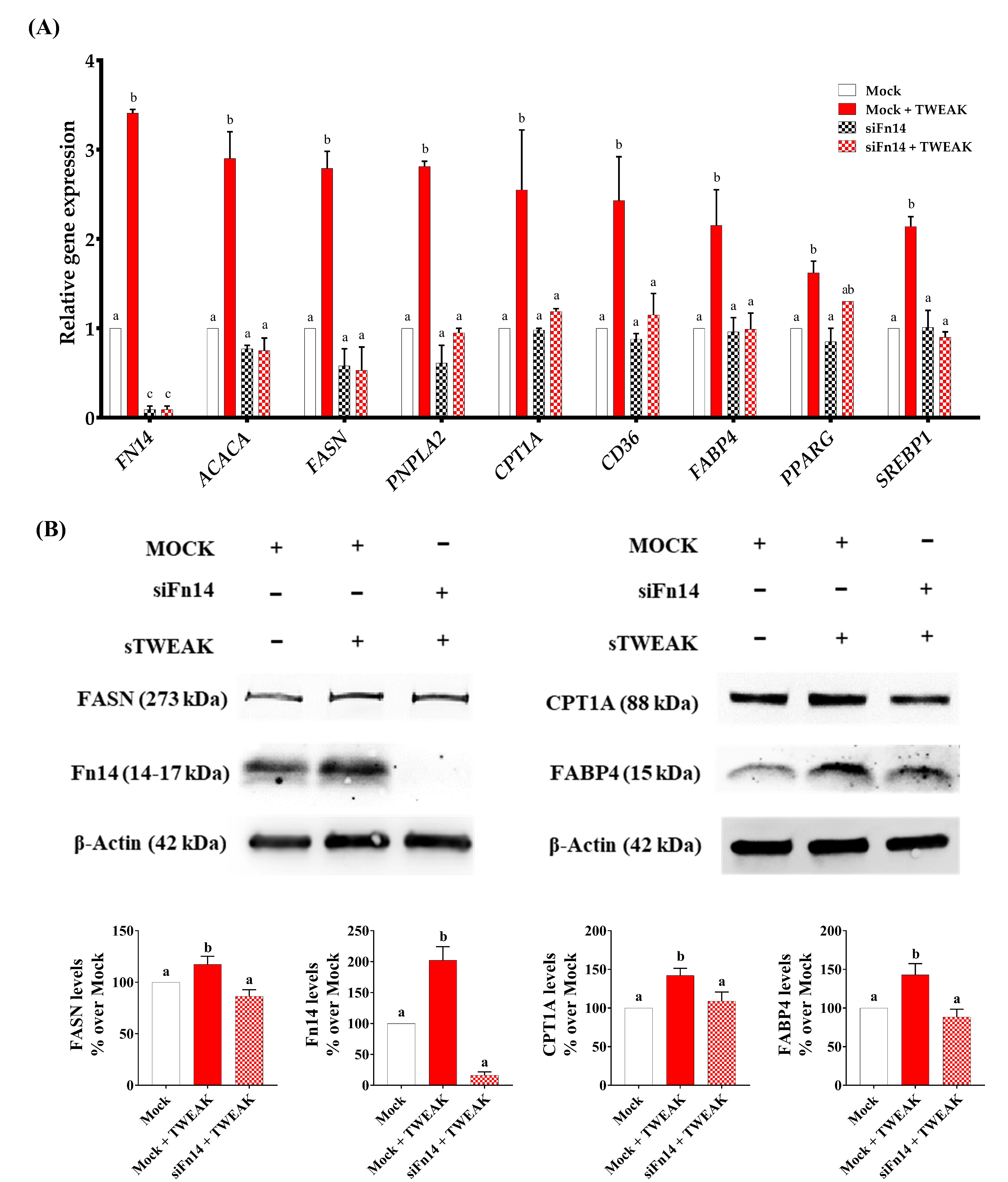Cancers 13 04688 g003