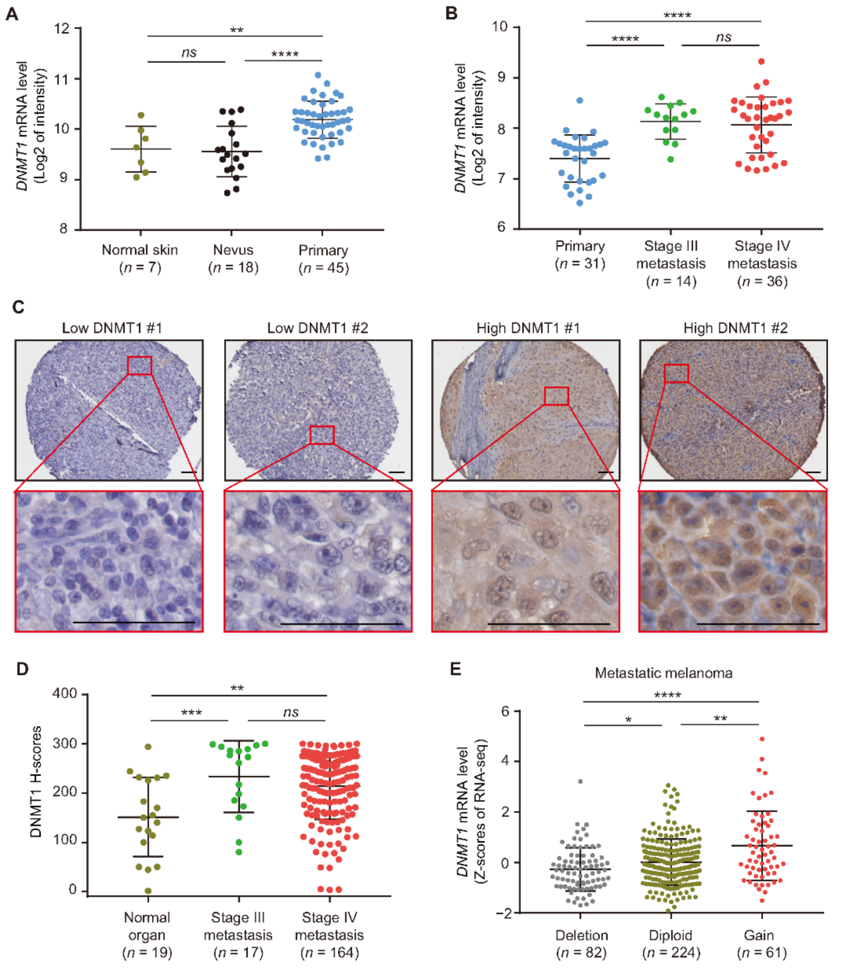 Cancers 13 04691 g001