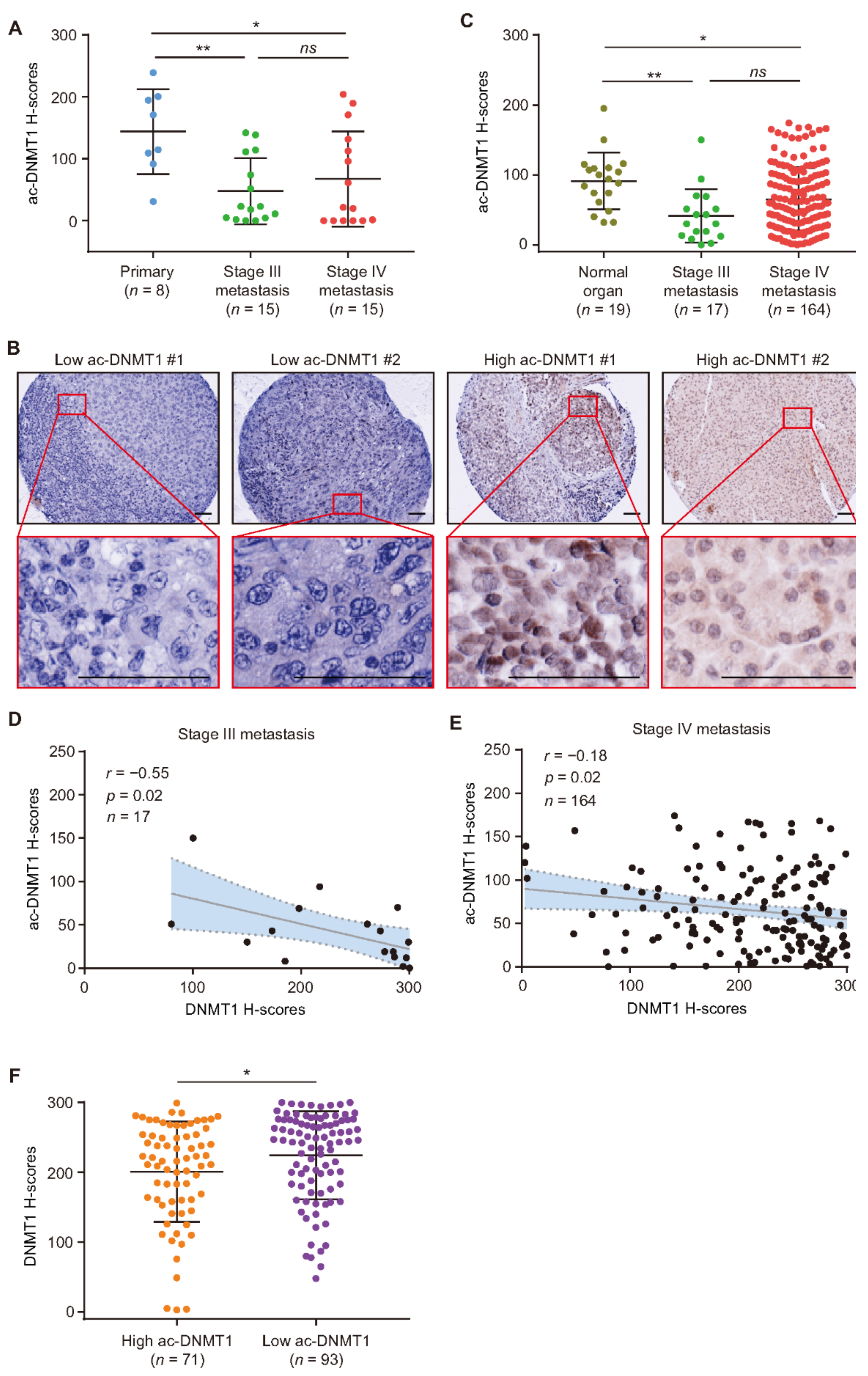 Cancers 13 04691 g003