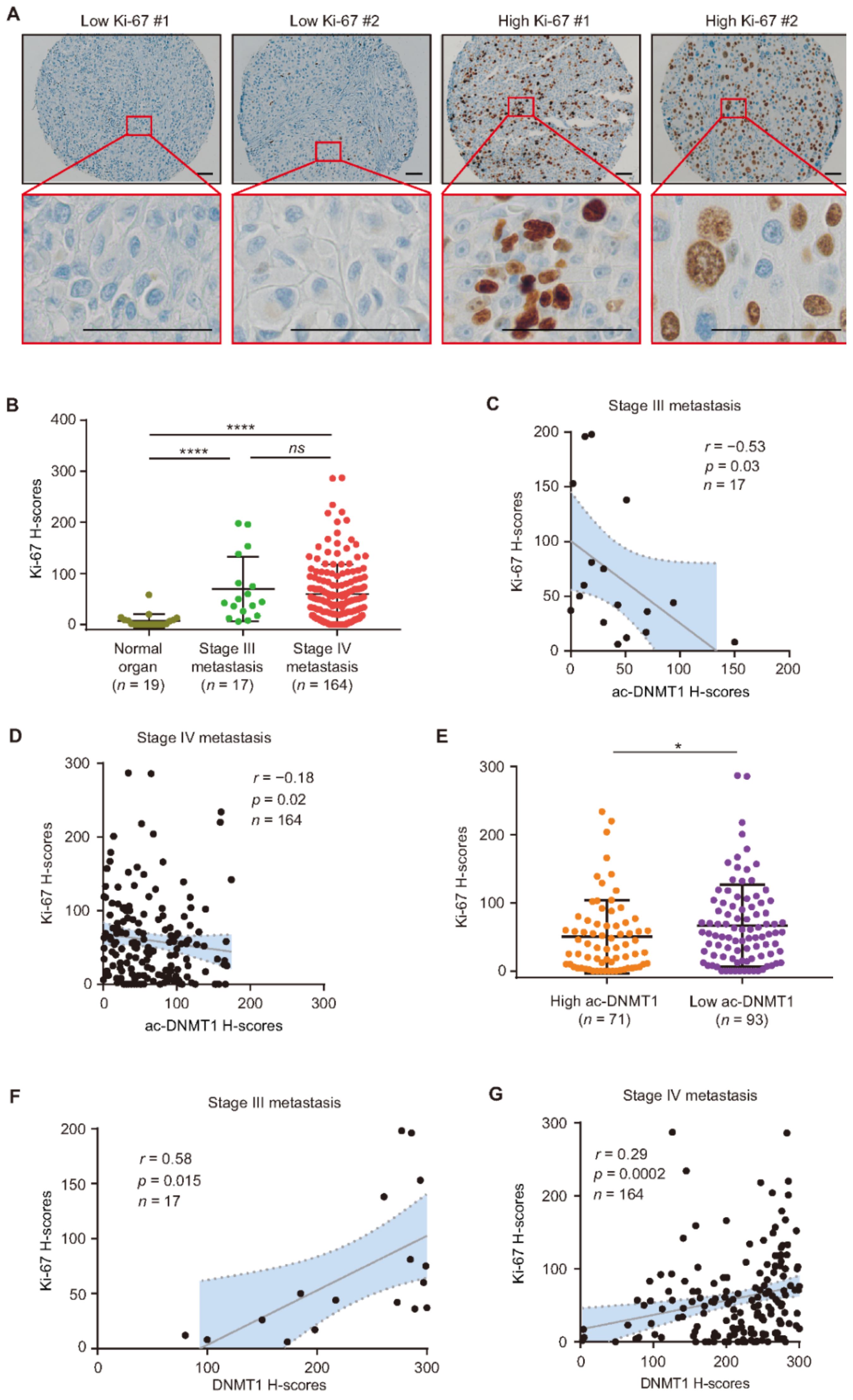Cancers 13 04691 g006