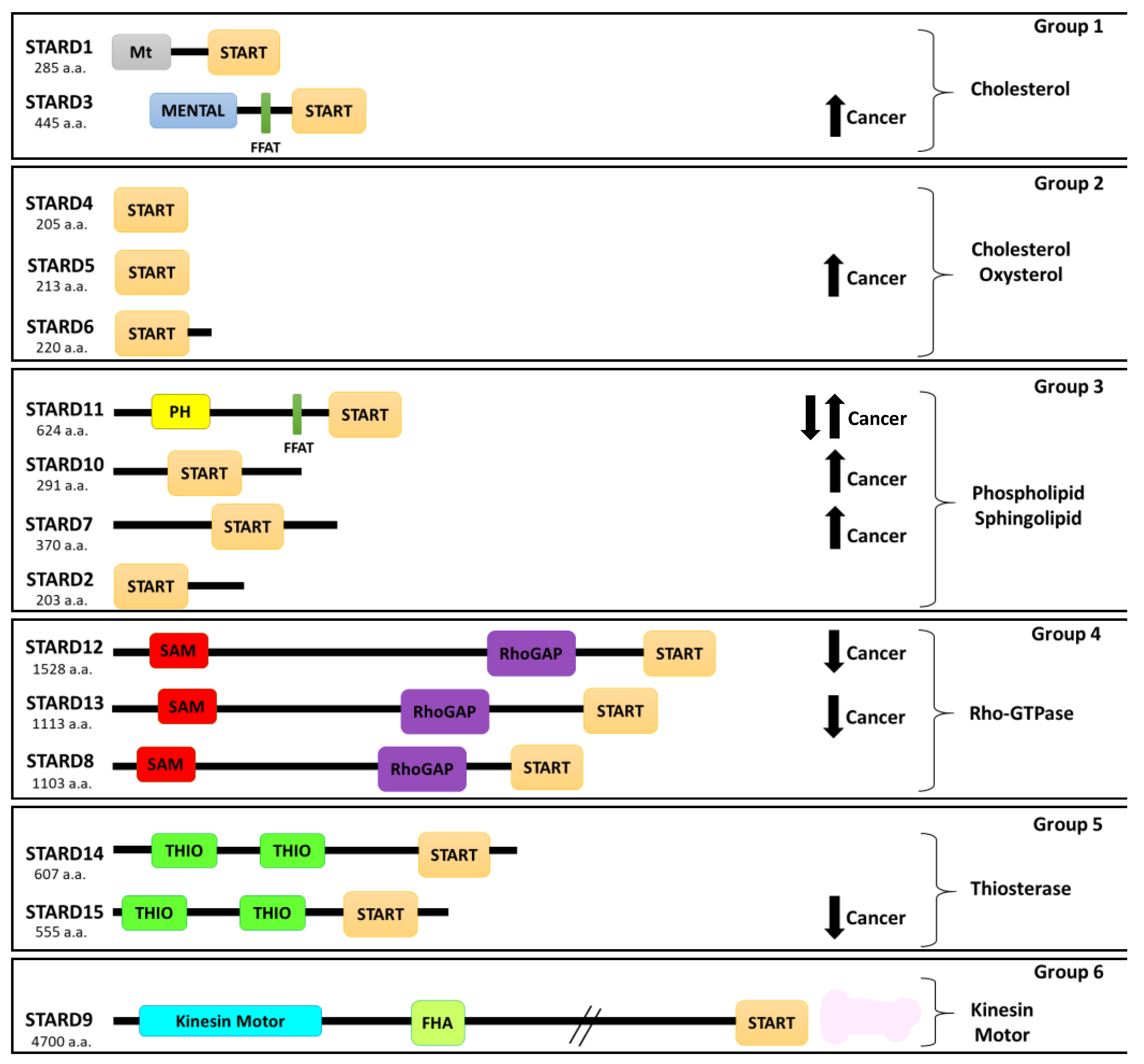 Cancers 13 04693 g001 Cancers 13 04693 g001