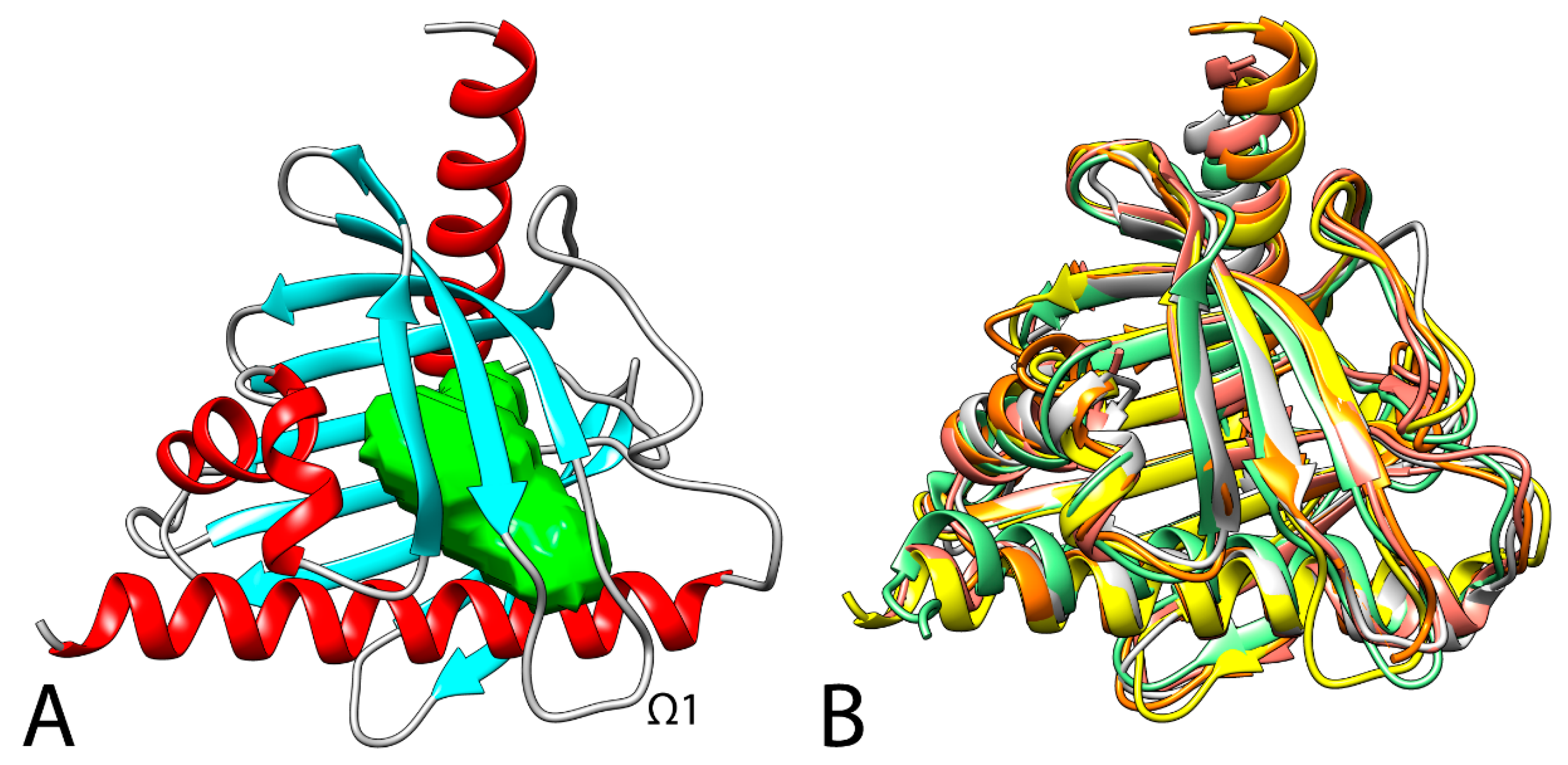 Cancers 13 04693 g002 Cancers 13 04693 g002