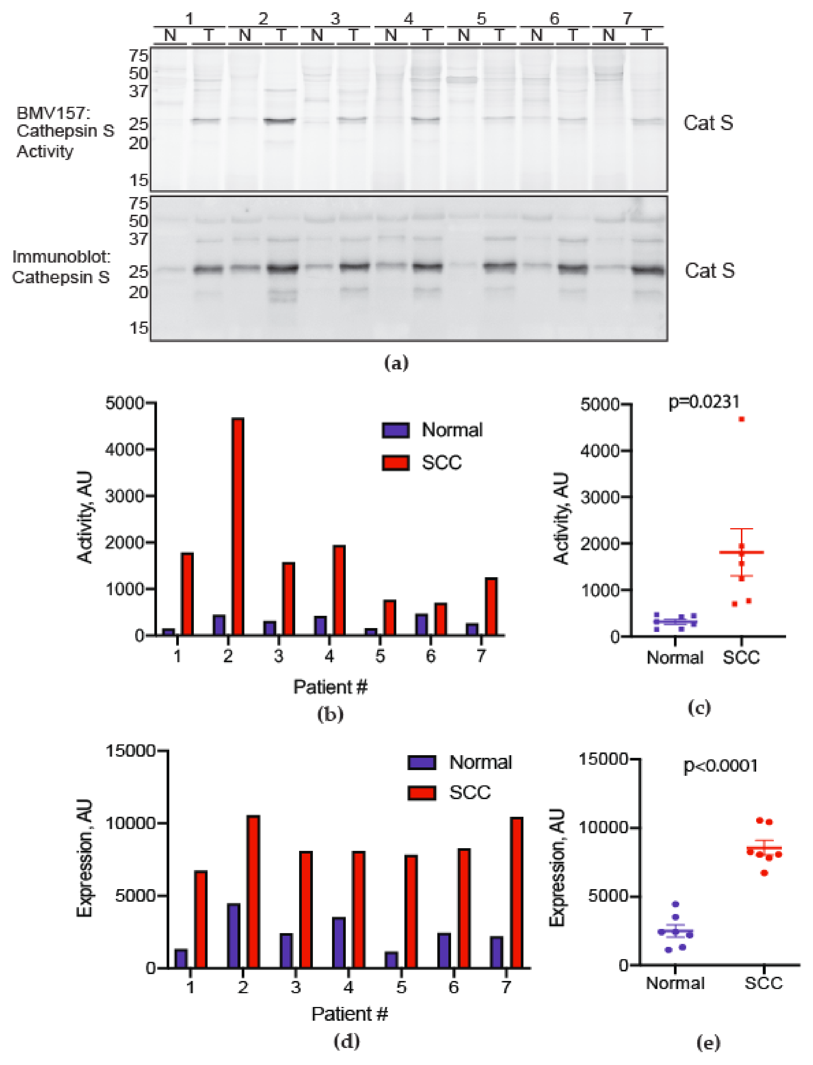 Cancers 13 04697 g001