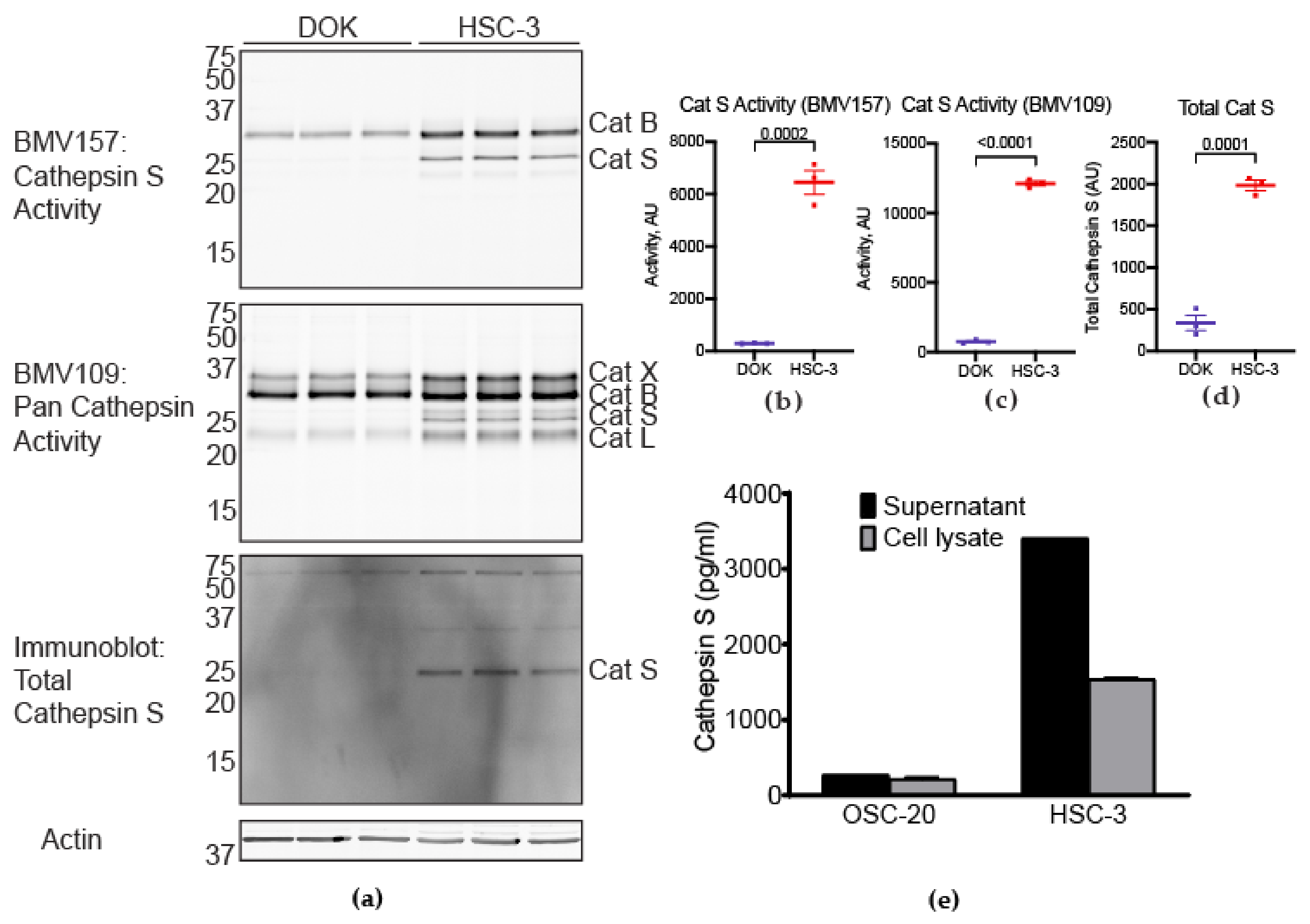 Cancers 13 04697 g006