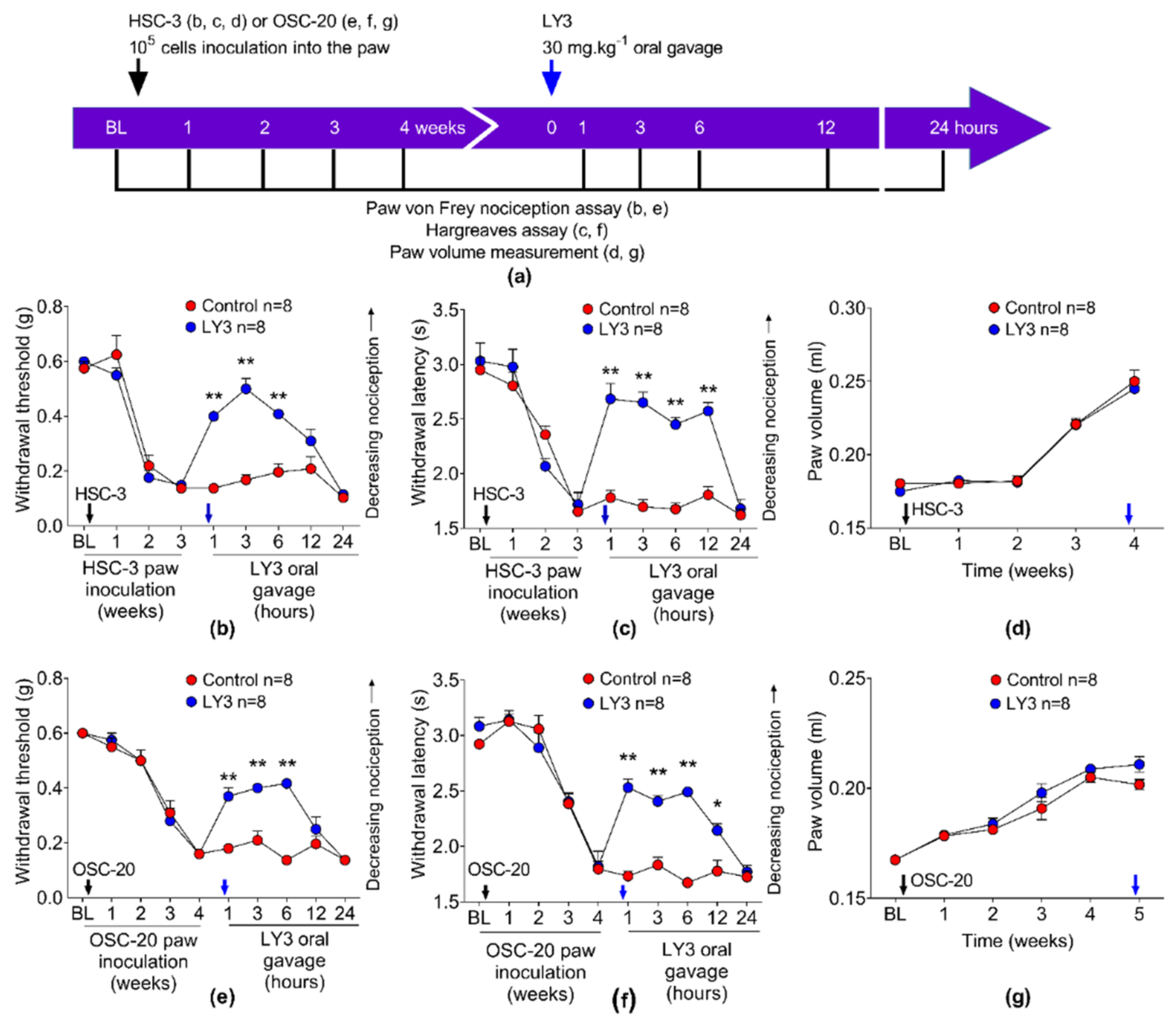 Cancers 13 04697 g010