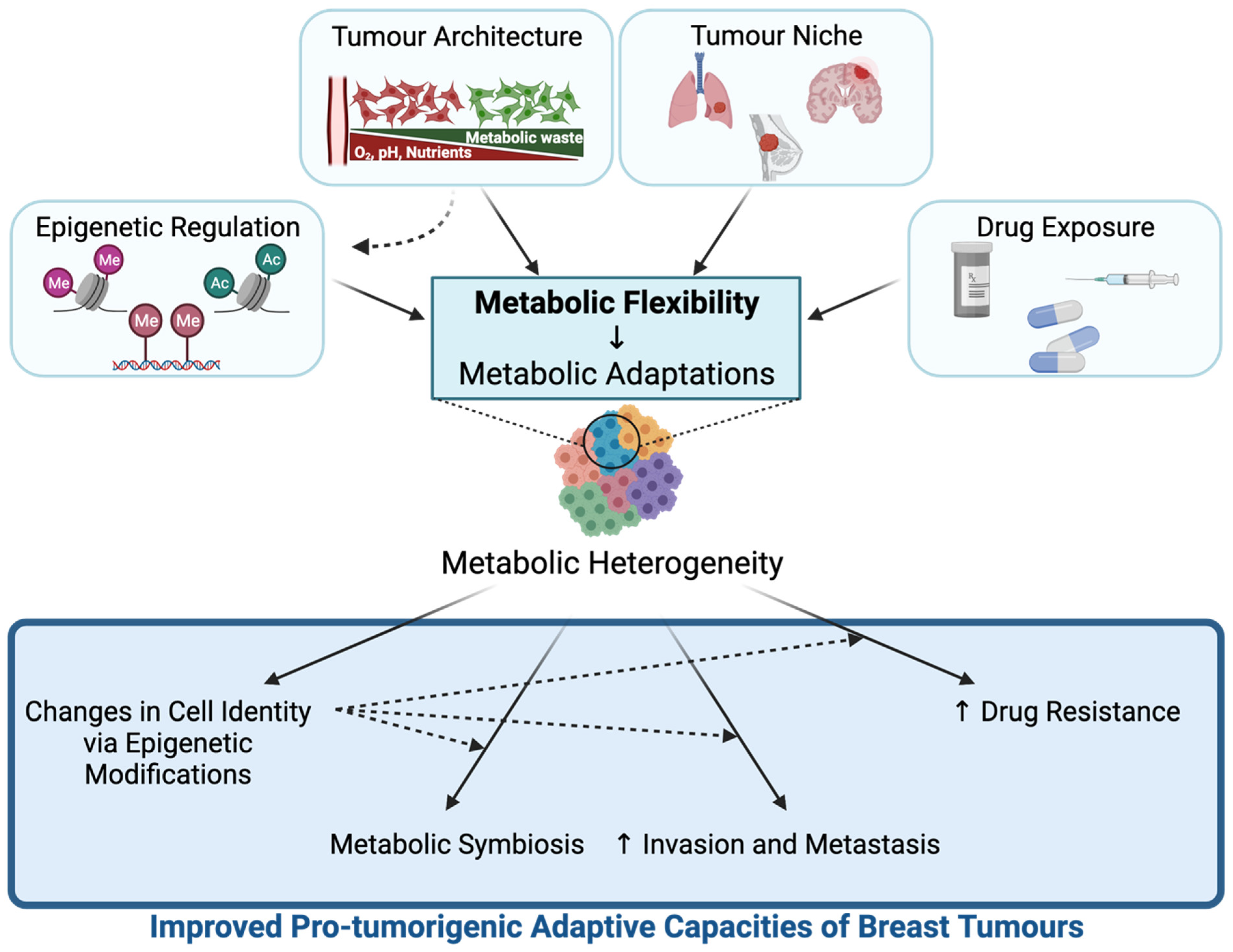Cancers 13 04699 g002