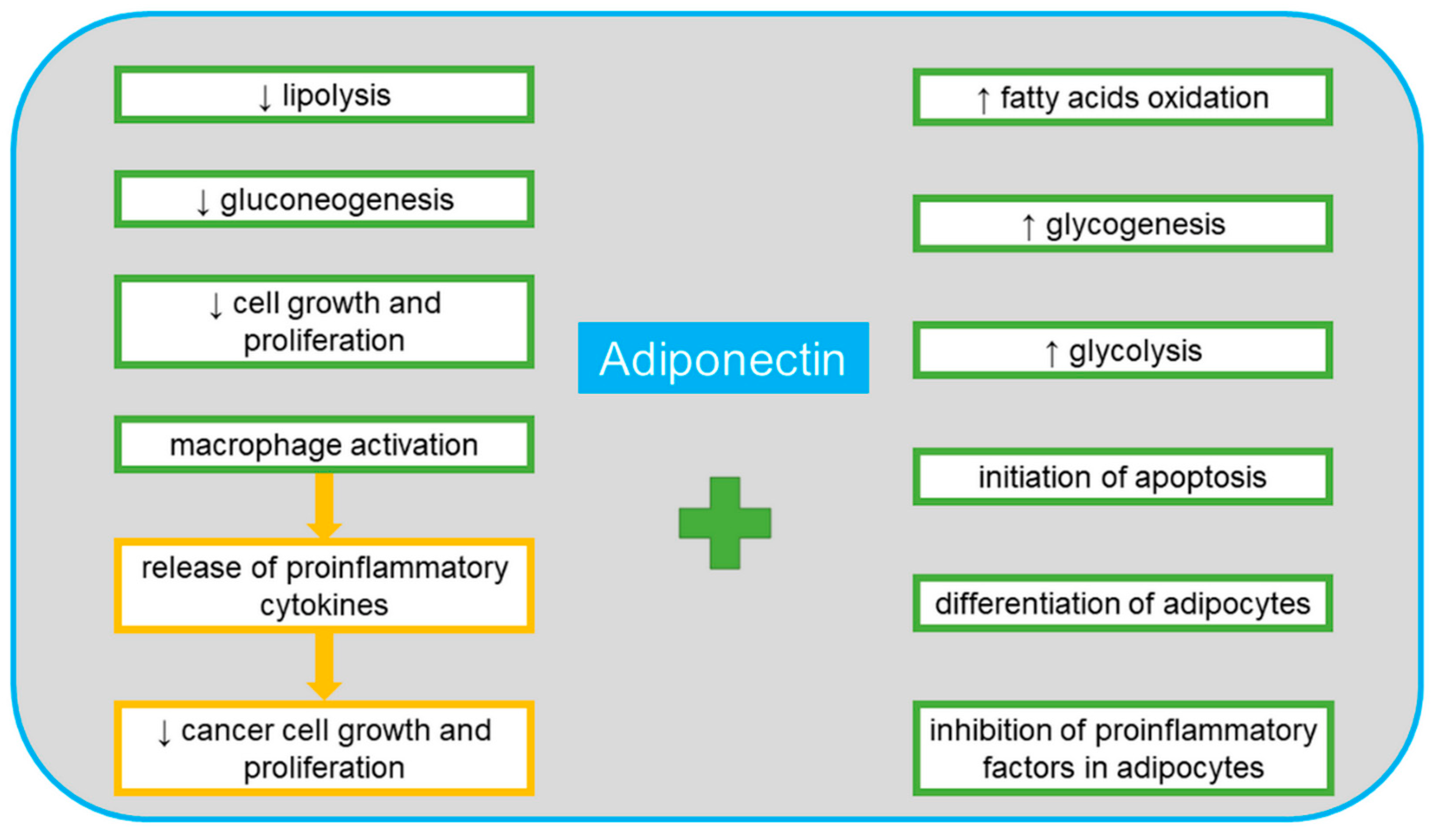 Cancers 13 04702 g002