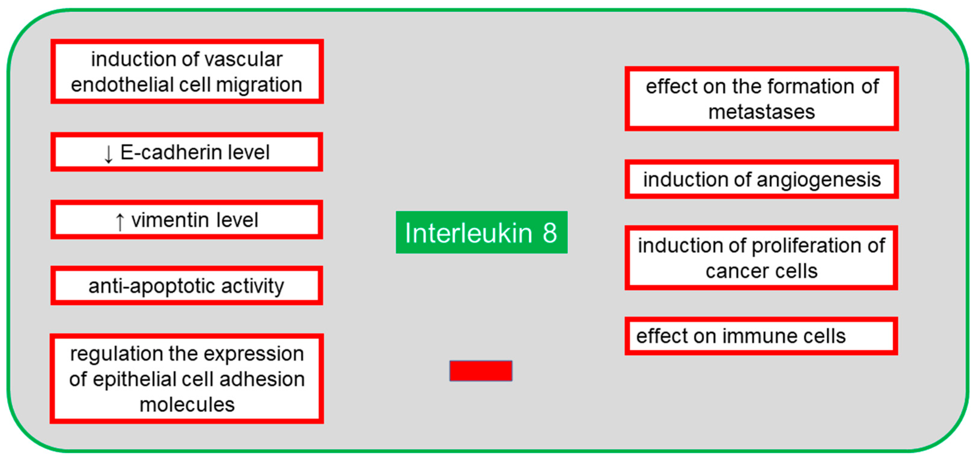 Cancers 13 04702 g004