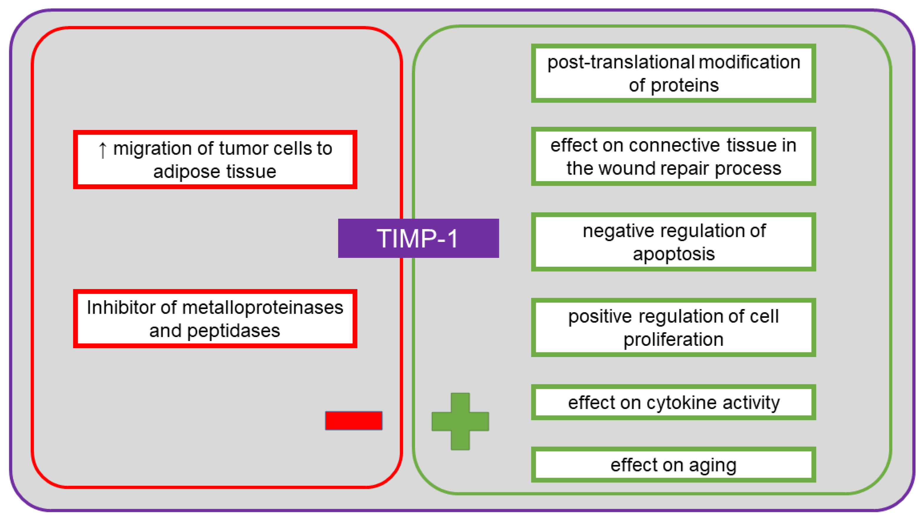 Cancers 13 04702 g006