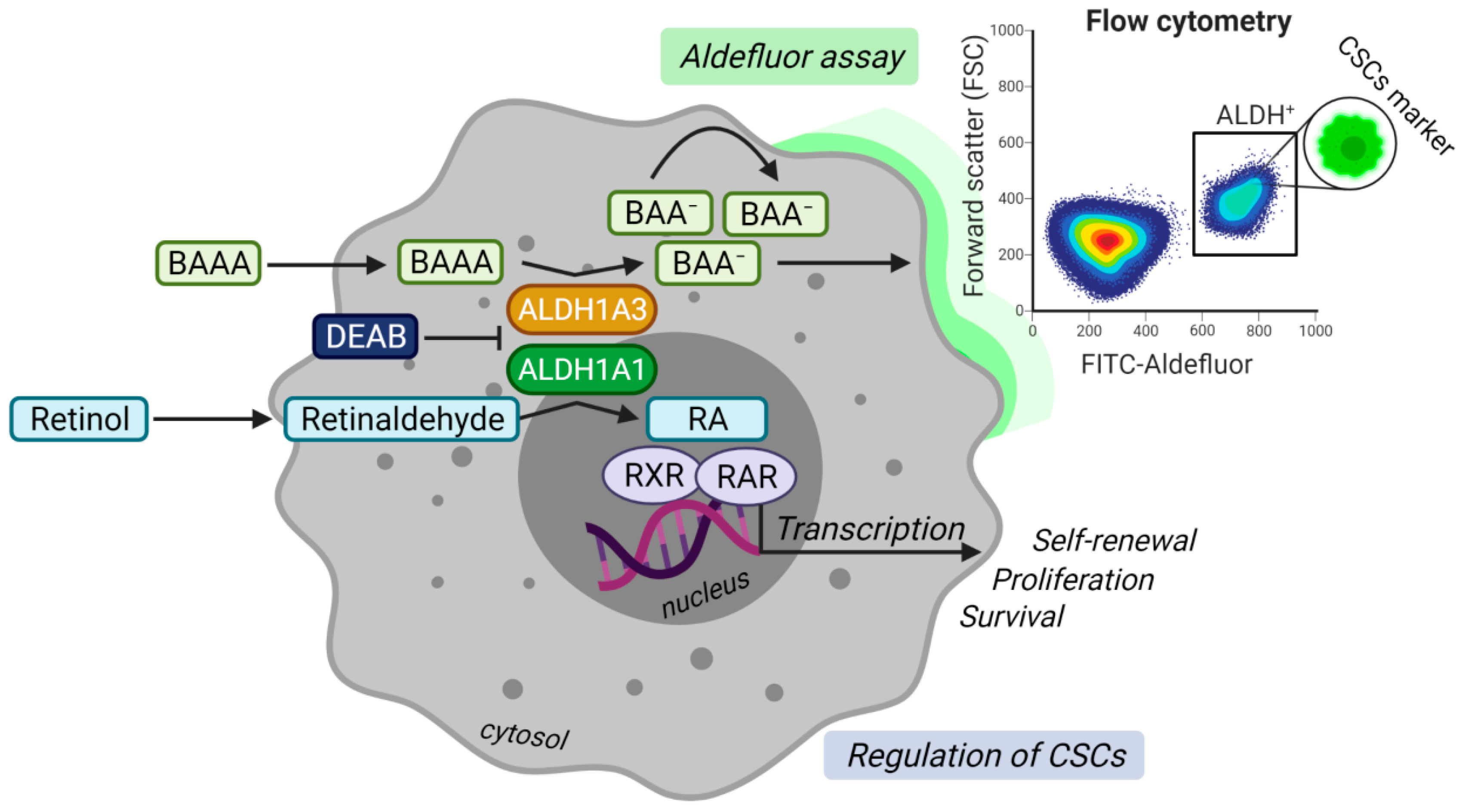 Cancers 13 04703 g001 Cancers 13 04703 g001