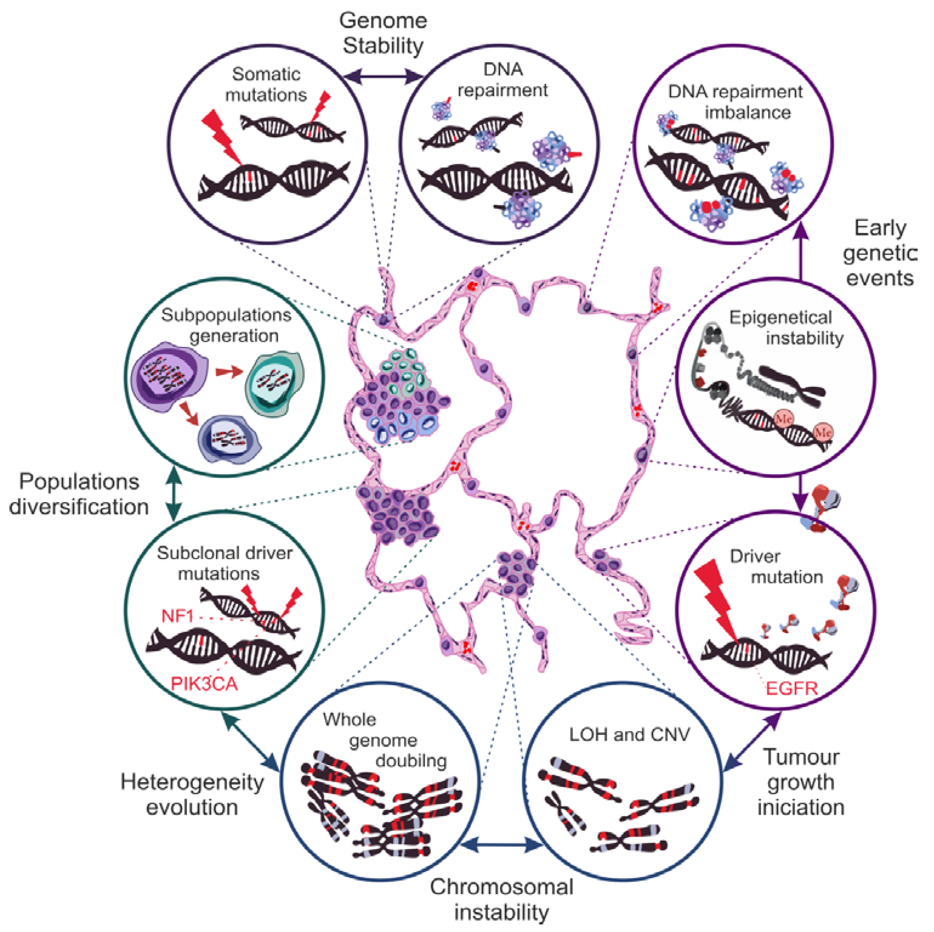 Cancers 13 04705 g003