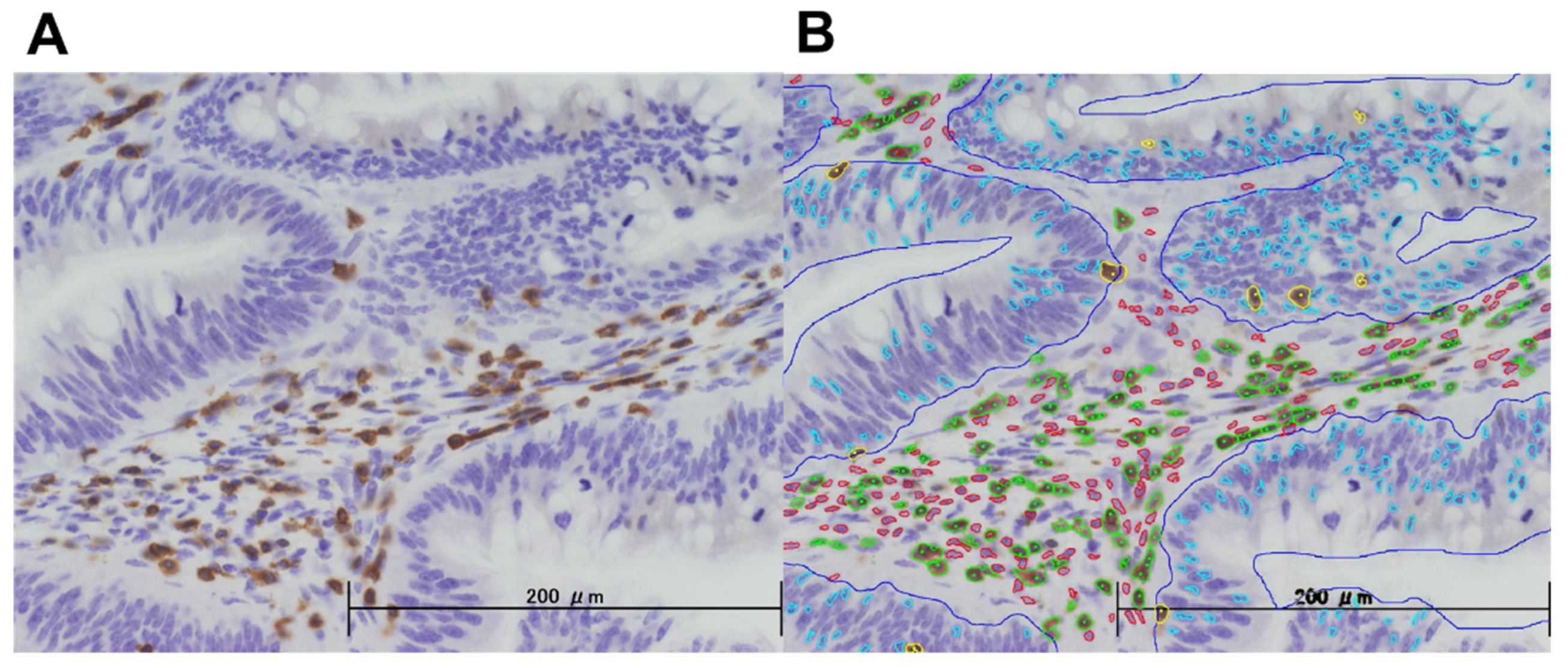 Cancers 13 04708 g001