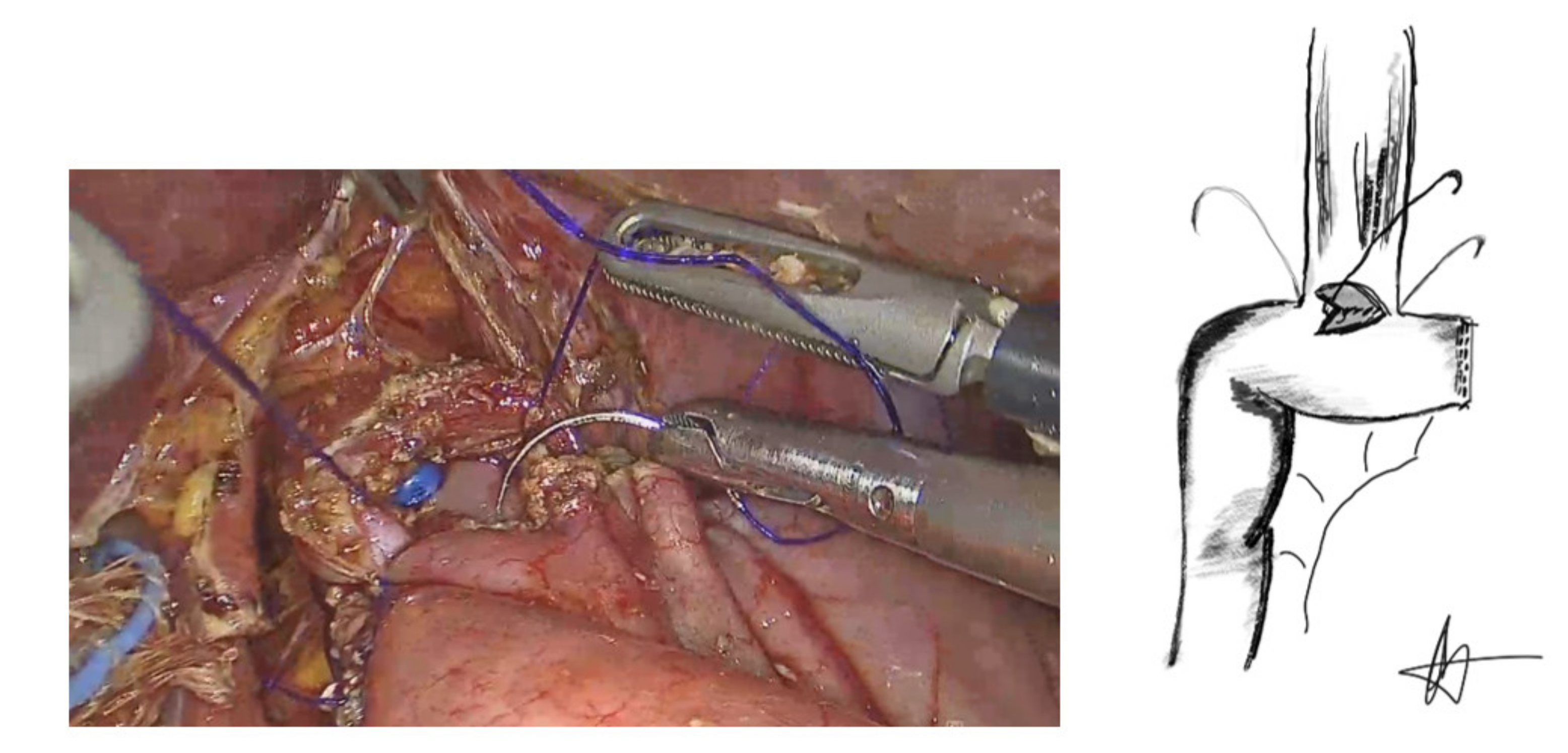 Cancers 13 04709 g005