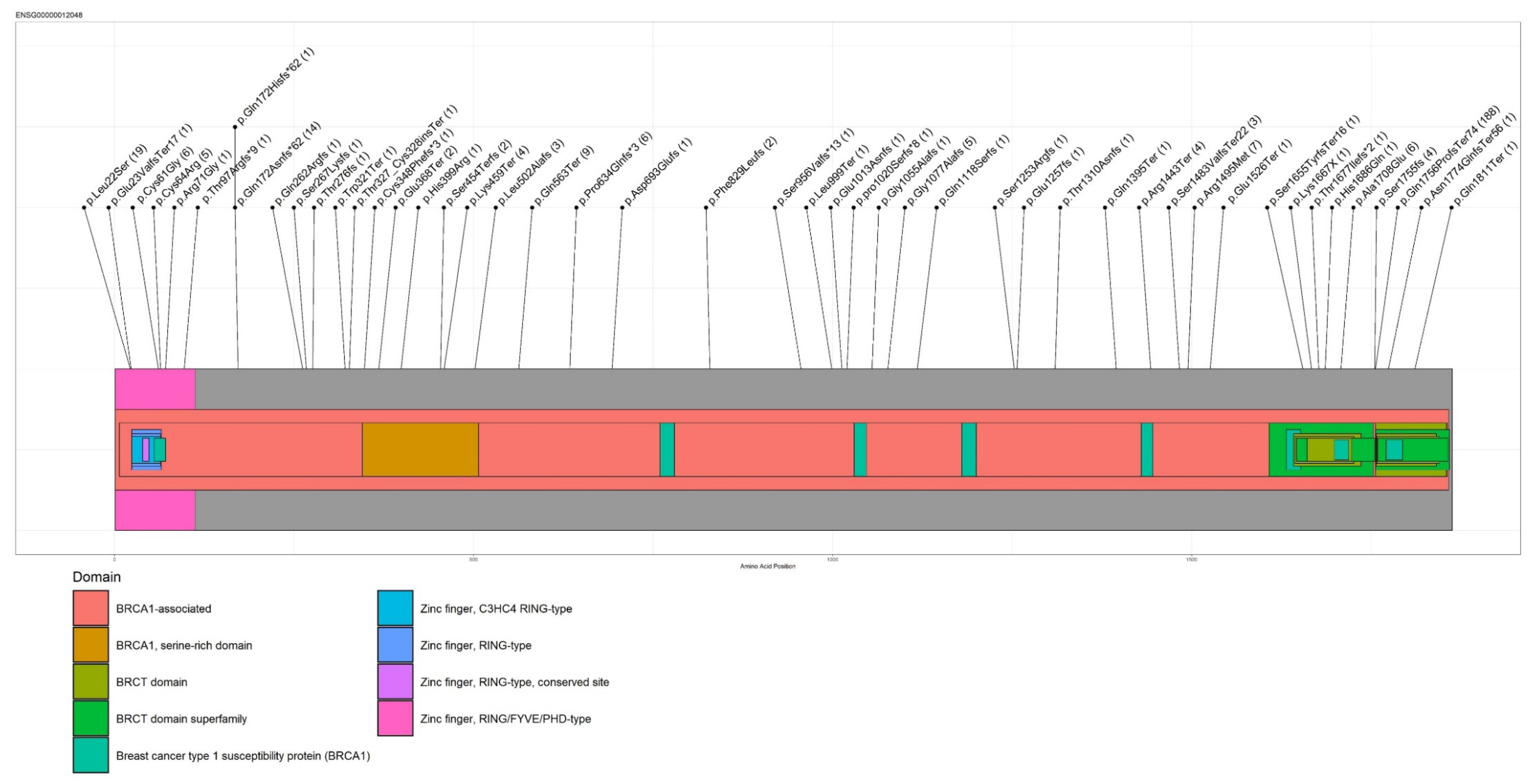 Cancers 13 04714 g001