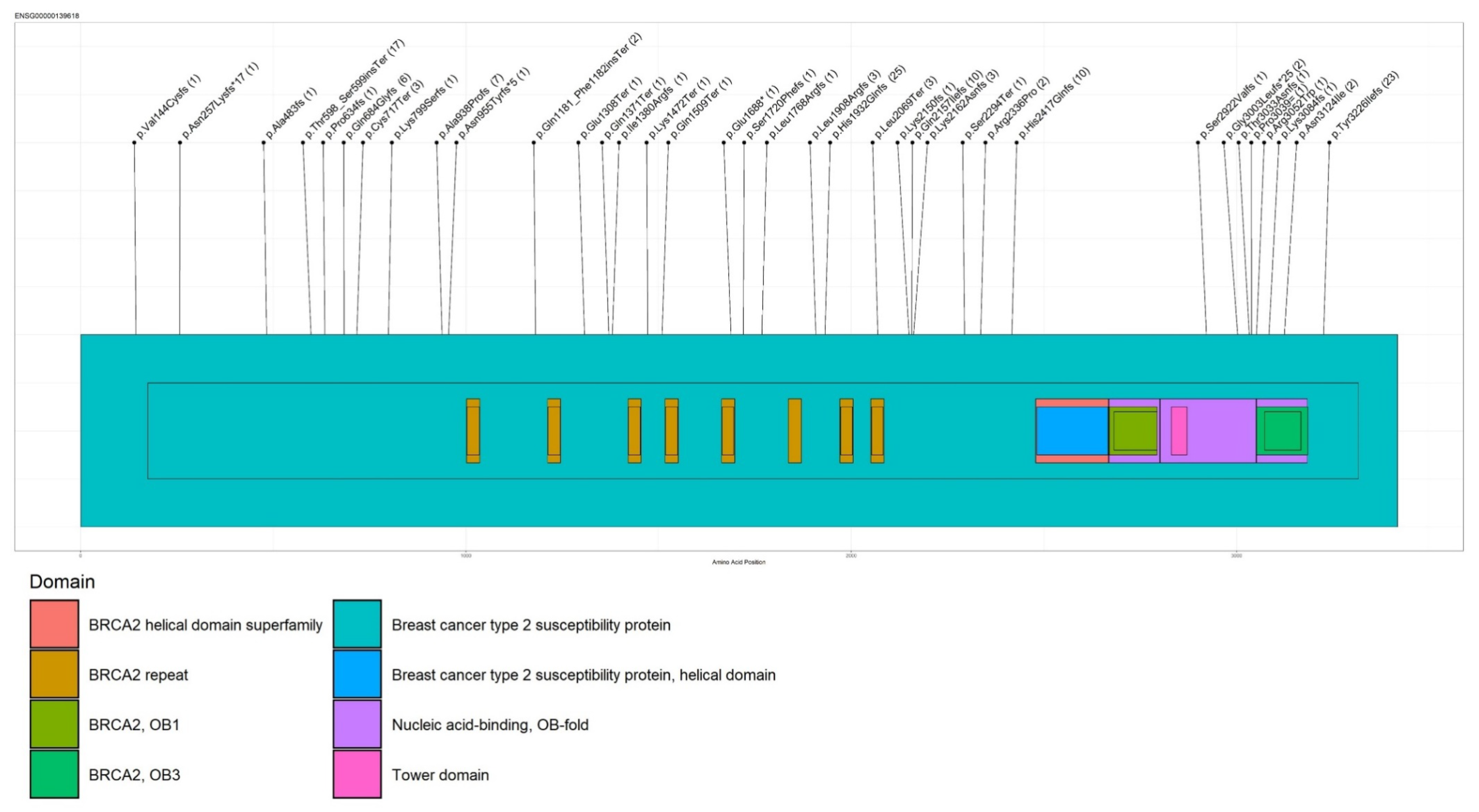 Cancers 13 04714 g002