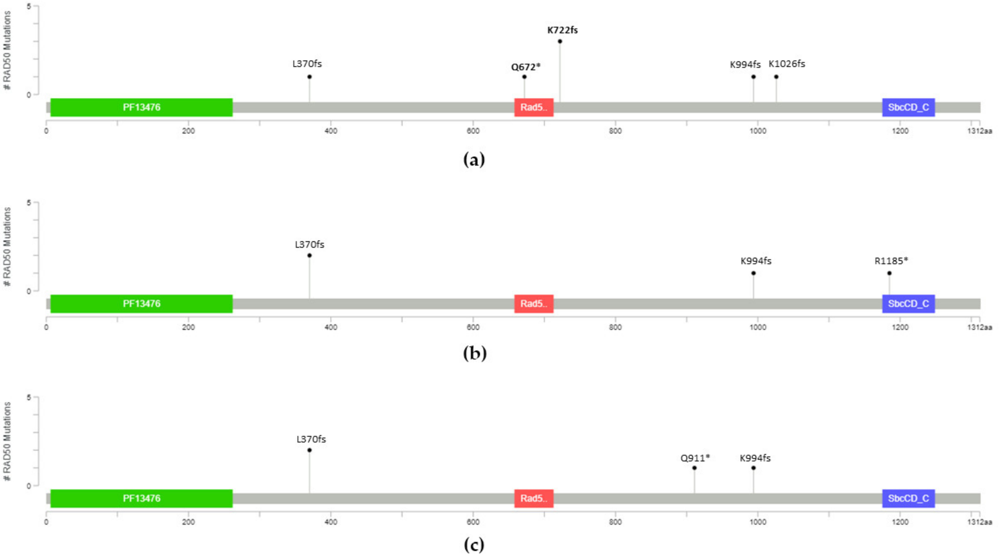 Cancers 13 04715 g001