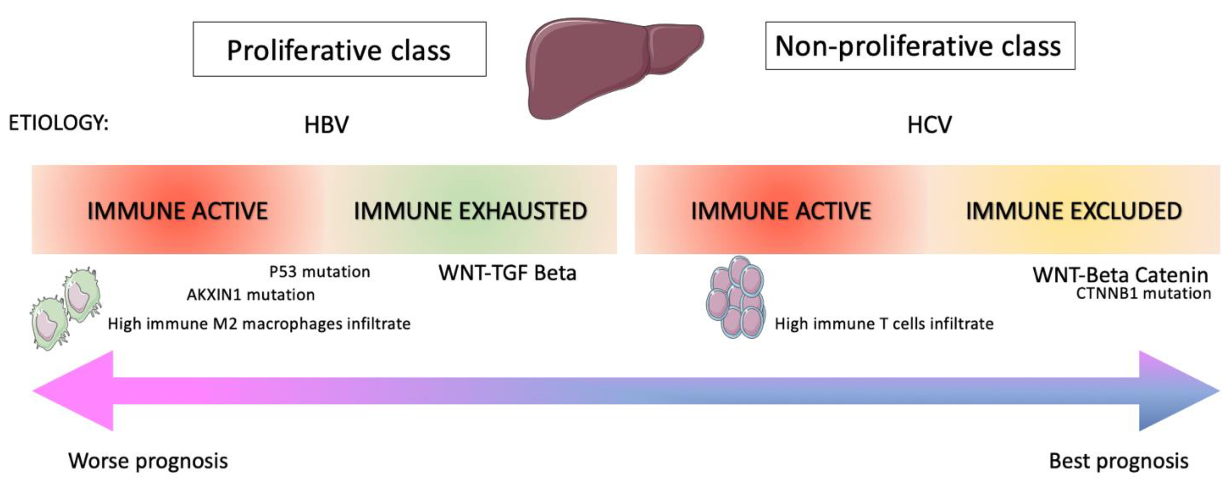 Cancers 13 04719 g002