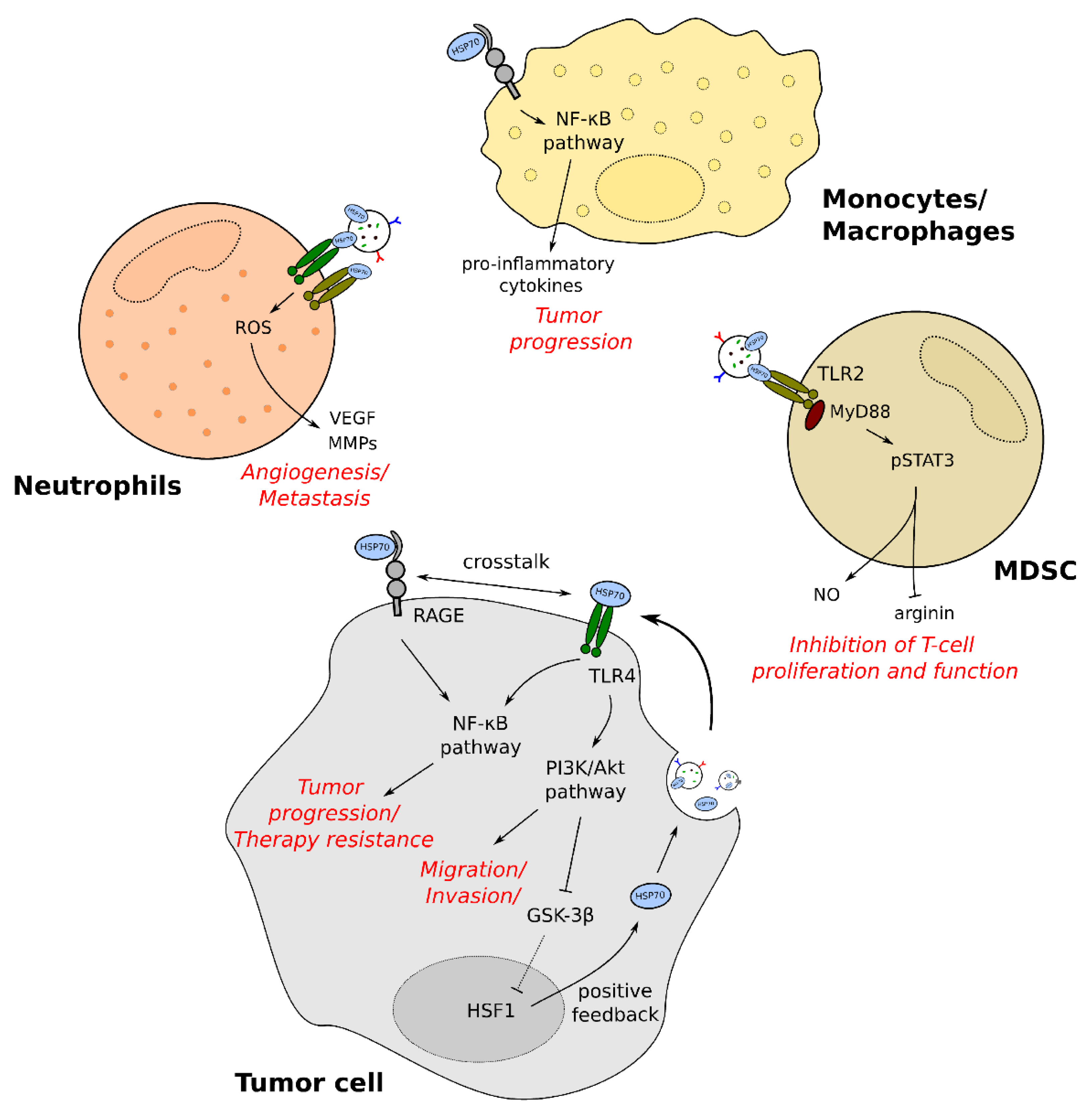 Cancers 13 04721 g002