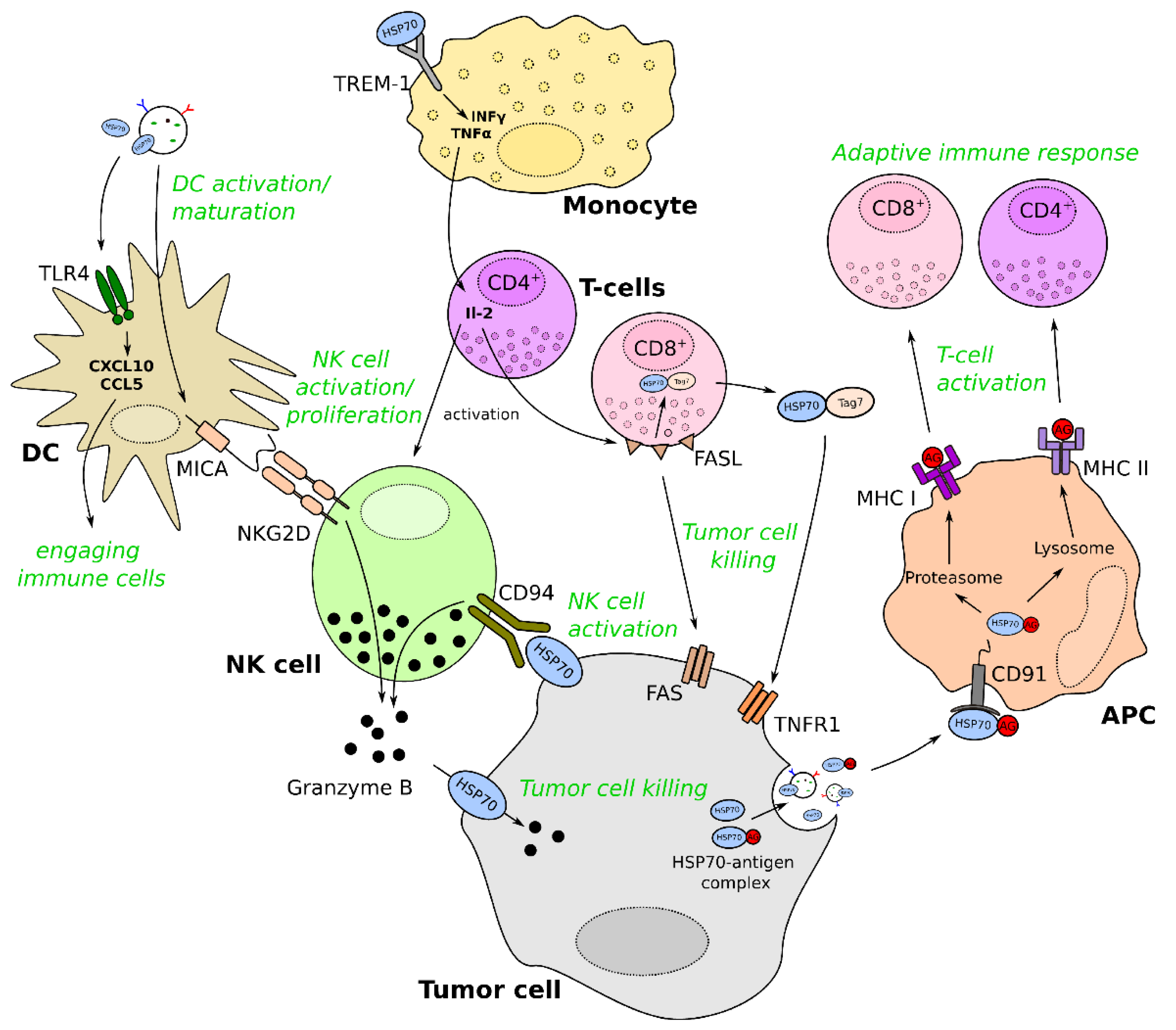 Cancers 13 04721 g003