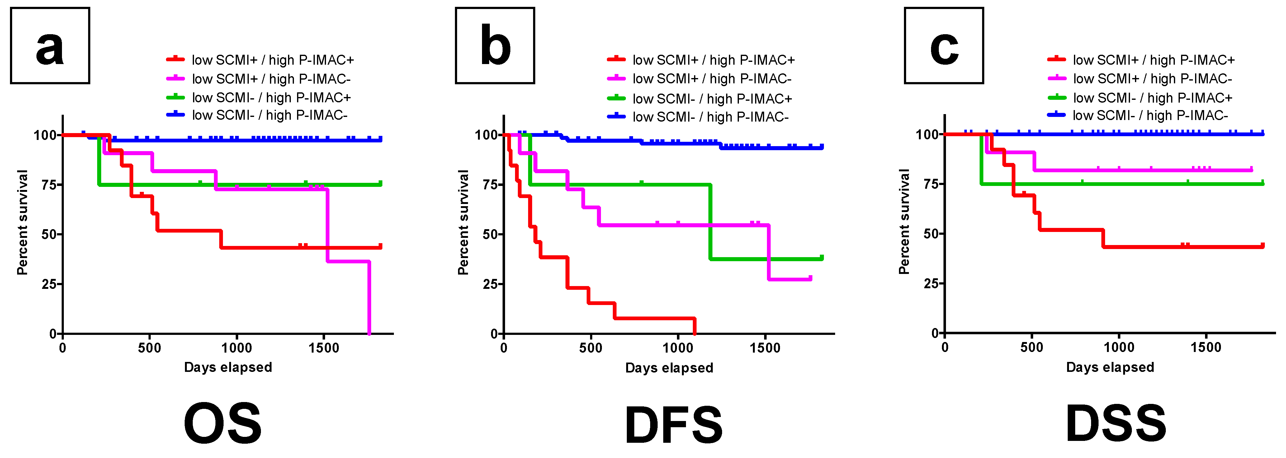 Cancers 13 04725 g004