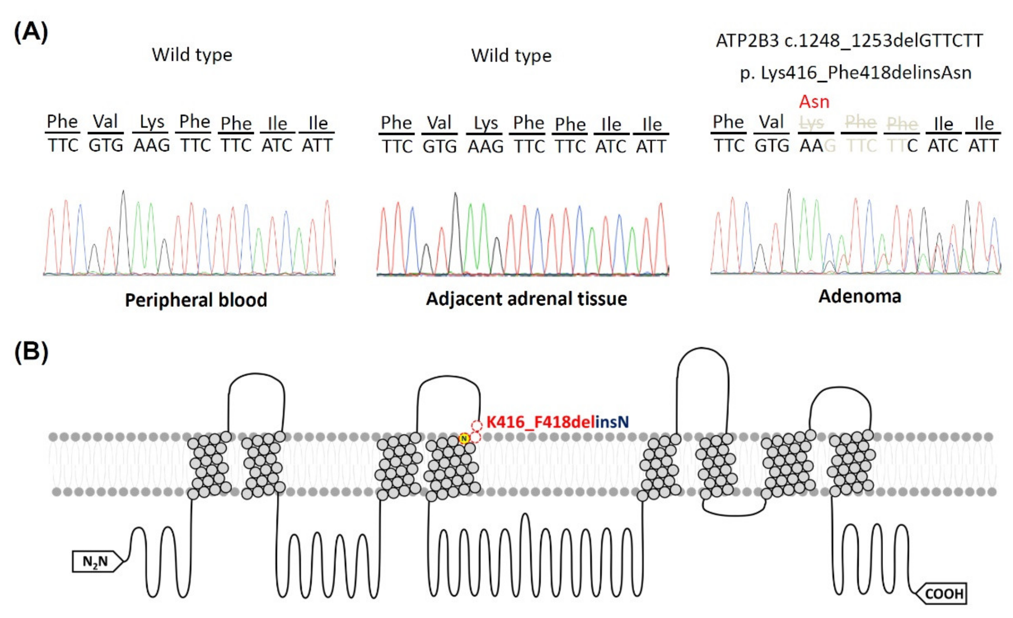 Cancers 13 04729 g001