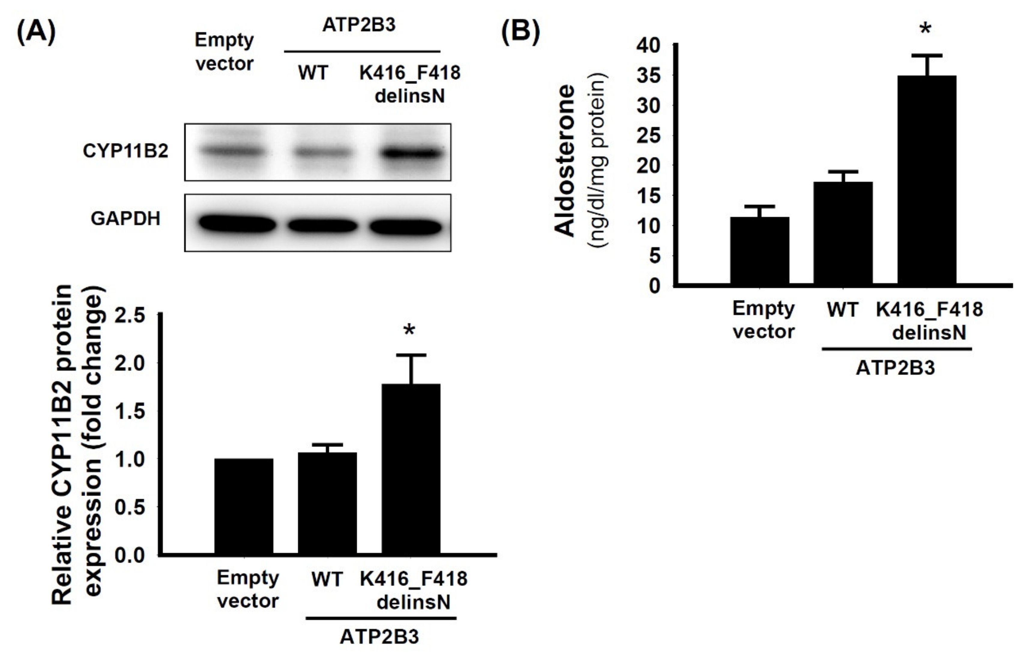 Cancers 13 04729 g003
