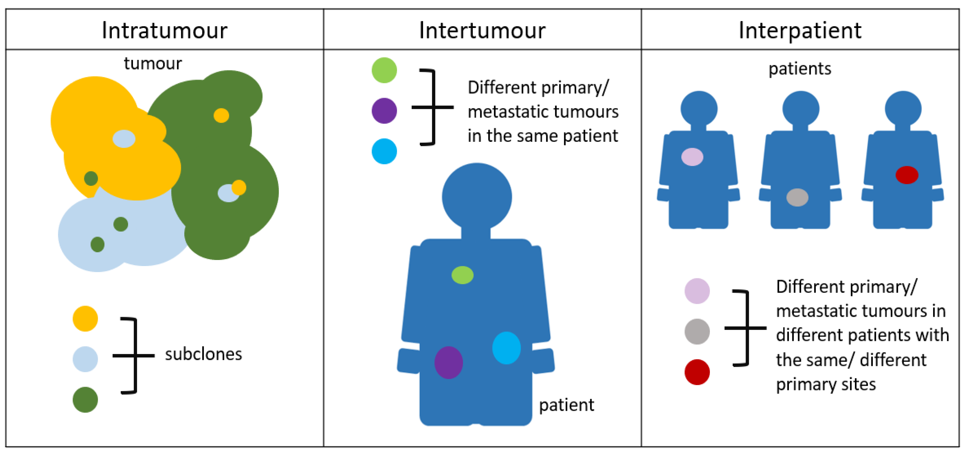 Cancers 13 04742 g007 Cancers 13 04742 g007